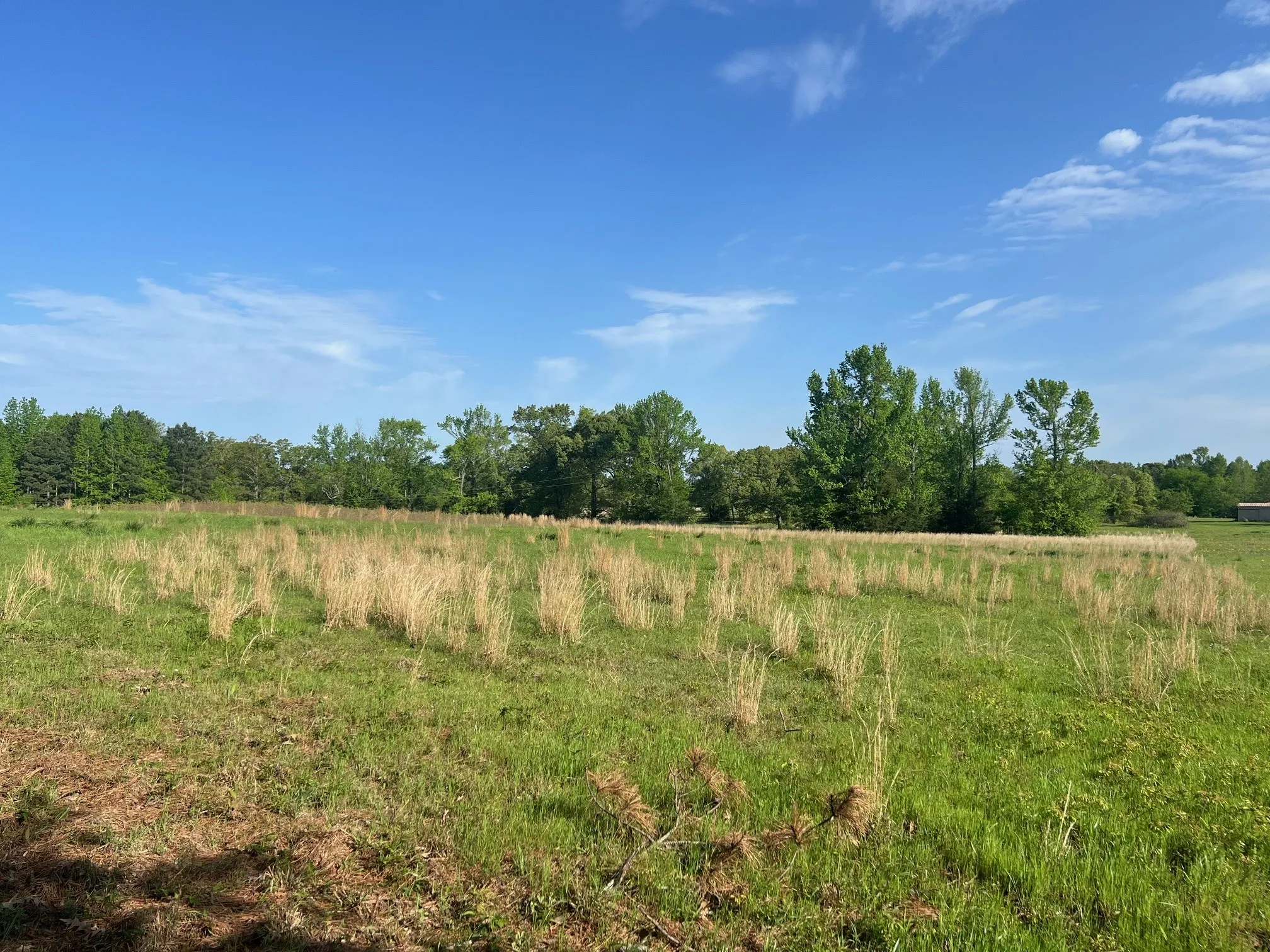 View of nature featuring a rural view