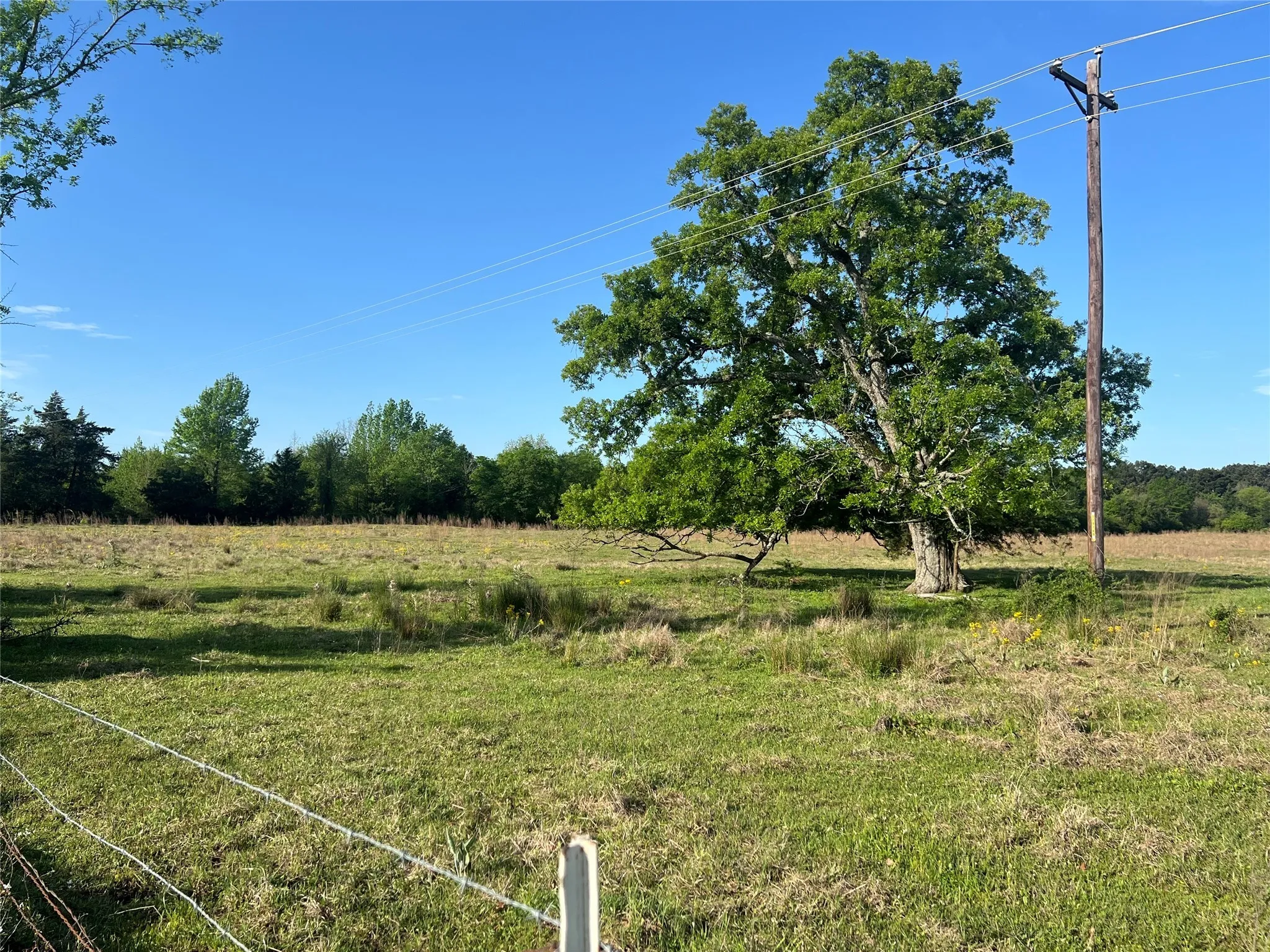 View of yard featuring a rural view