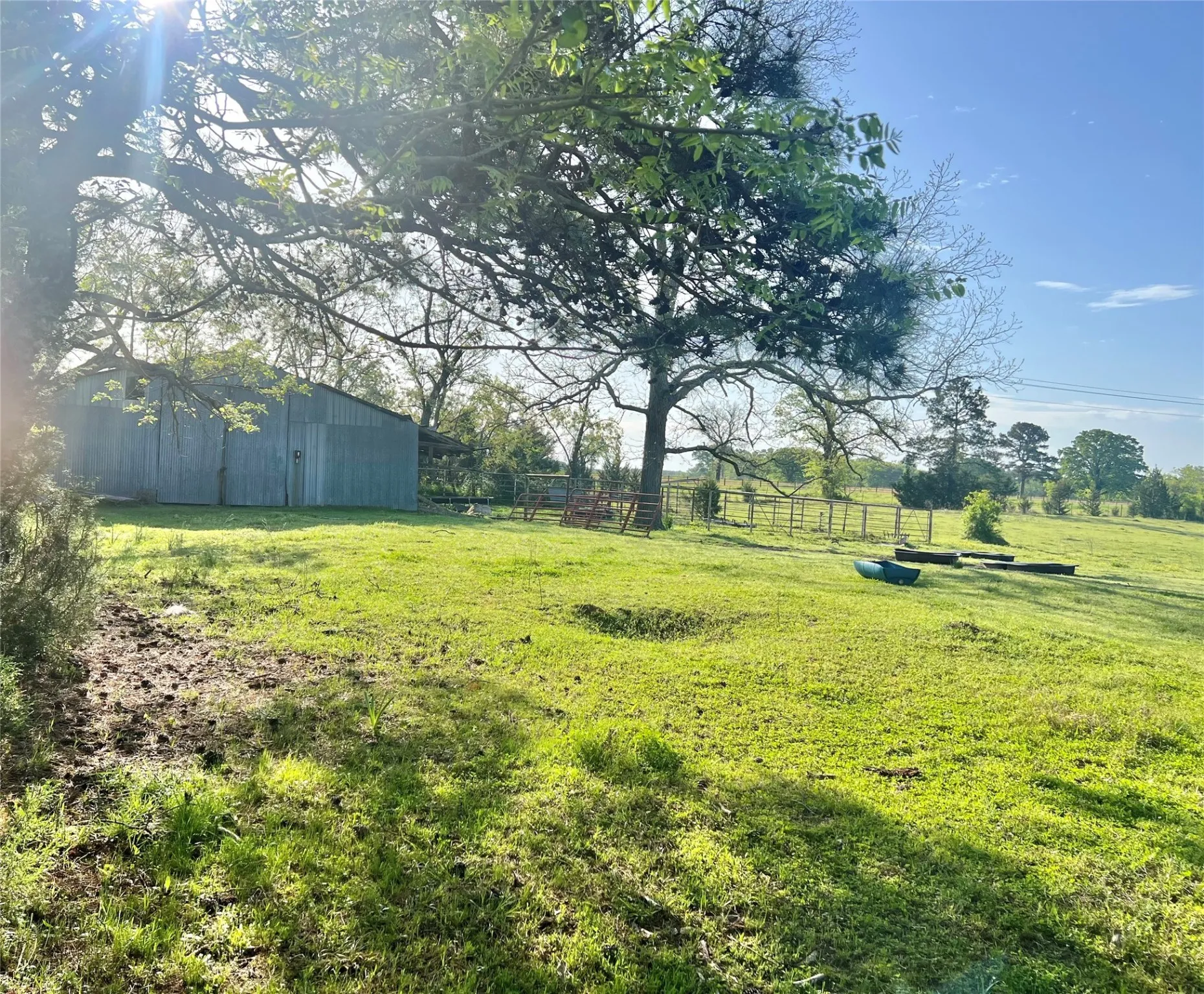 Unimproved Land For Sale in Titus County , 00000 FM 1402, Mt Pleasant, Texas 75455, 0, 0, Garage spaces, 0 Sqft, built in 0, Price $110,000, mls#20901312, Real Estate Agent in Mt Pleasant, Homes For Sale in Titus county, Homes For Sale in Mt Pleasant, Realtor in Mt Pleasant Texas, Real Estate Brokerage Independent Realty Texas, Luminita Cordes Realtor