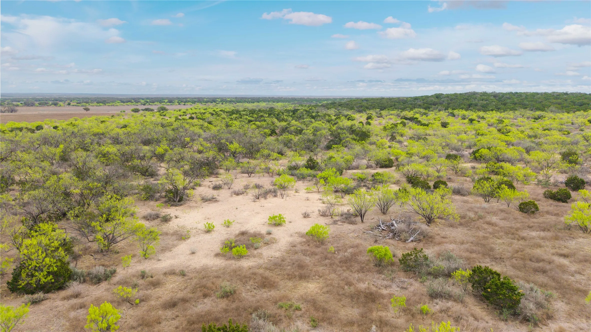 Ranch For Sale in Mc Culloch County , 000TBD Hwy 377, Mercury, Texas 76872, 0, 0, Garage spaces, 0 Sqft, built in 0, mls#20898116, Real Estate Agent in Mercury, Homes For Sale in Mc Culloch county, Homes For Sale in Mercury, Realtor in Mercury Texas, Real Estate Brokerage Independent Realty Texas, Luminita Cordes Realtor