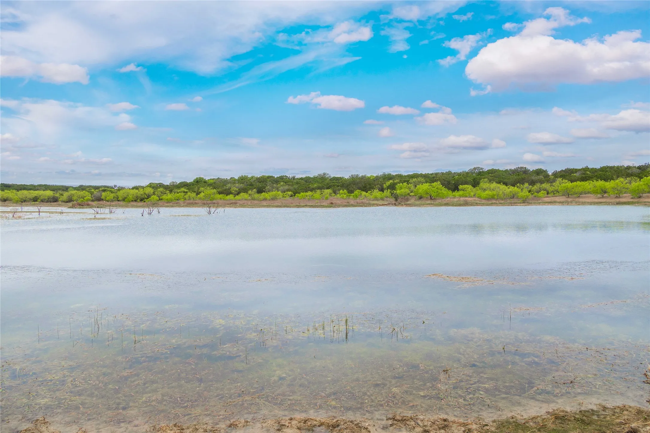 Ranch For Sale in Mc Culloch County , 000TBD Hwy 377, Mercury, Texas 76872, 0, 0, Garage spaces, 0 Sqft, built in 0, mls#20898116, Real Estate Agent in Mercury, Homes For Sale in Mc Culloch county, Homes For Sale in Mercury, Realtor in Mercury Texas, Real Estate Brokerage Independent Realty Texas, Luminita Cordes Realtor