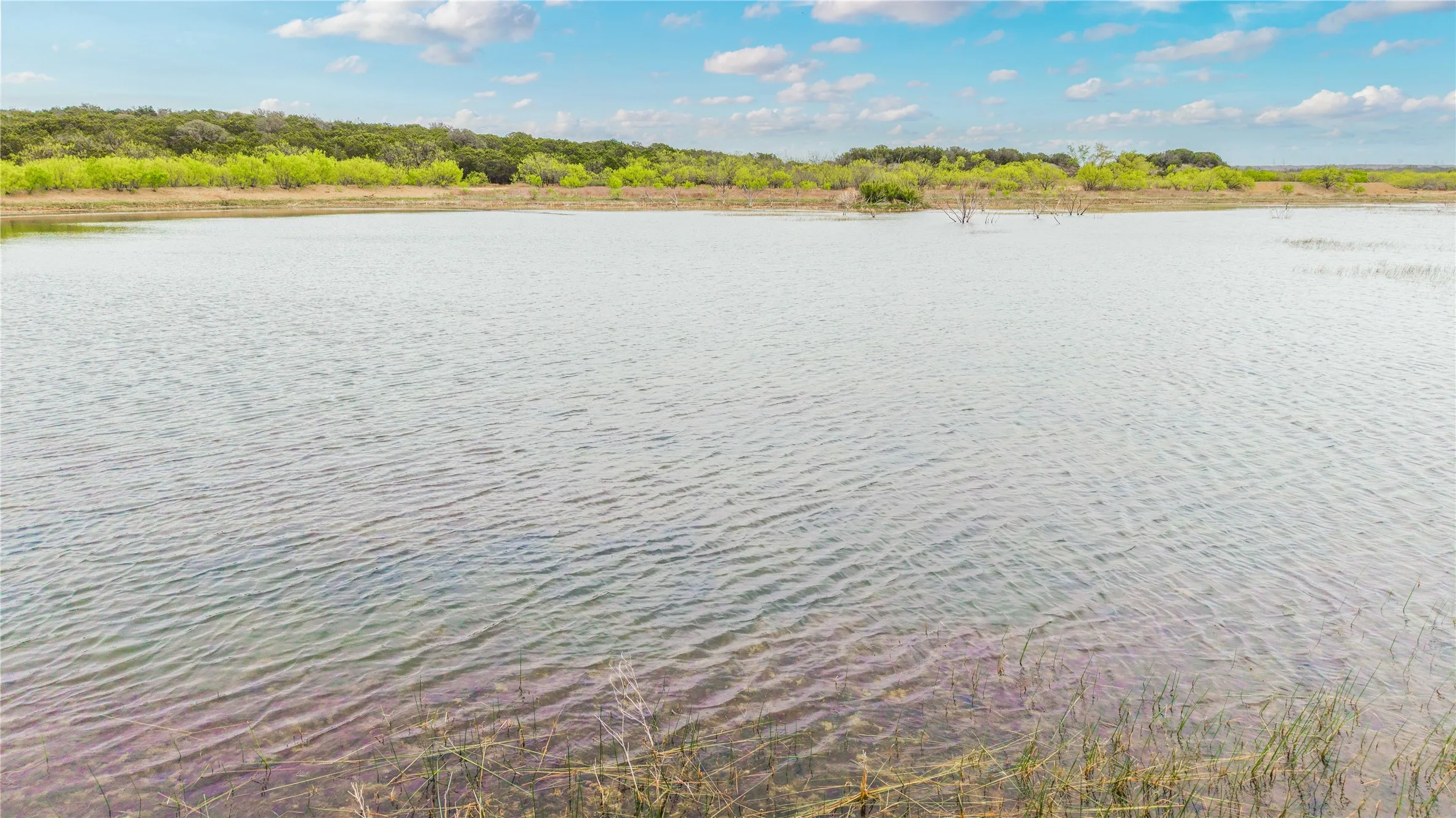 Ranch For Sale in Mc Culloch County , 000TBD Hwy 377, Mercury, Texas 76872, 0, 0, Garage spaces, 0 Sqft, built in 0, mls#20898116, Real Estate Agent in Mercury, Homes For Sale in Mc Culloch county, Homes For Sale in Mercury, Realtor in Mercury Texas, Real Estate Brokerage Independent Realty Texas, Luminita Cordes Realtor