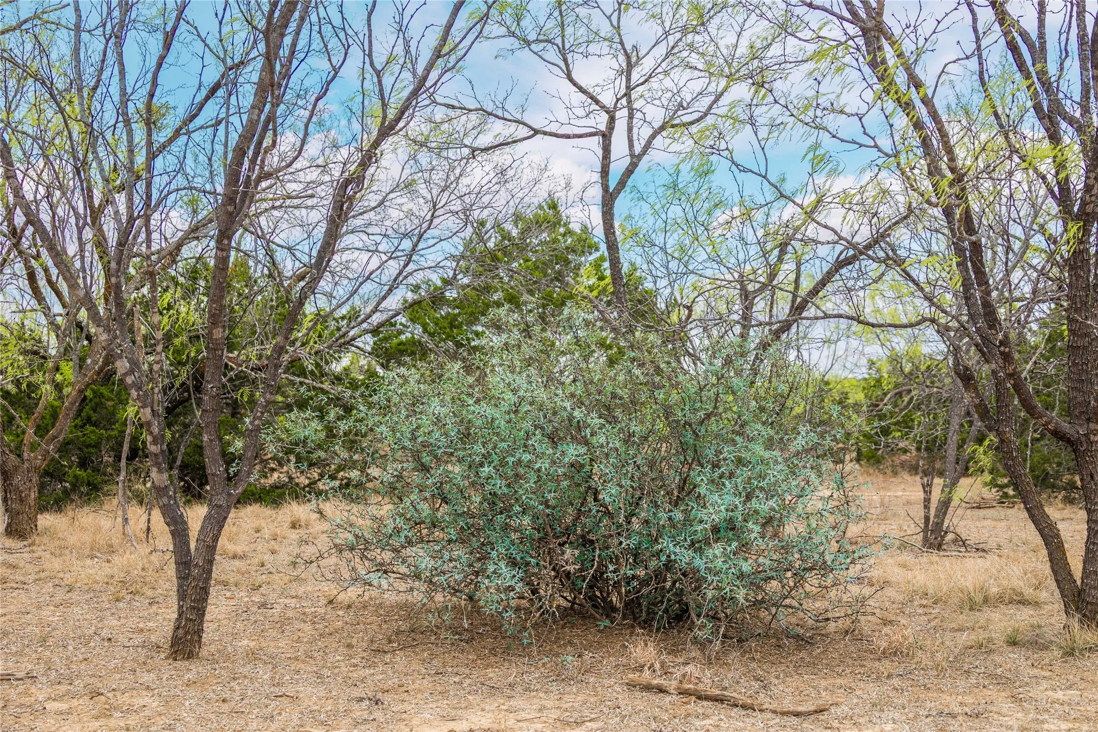 Ranch For Sale in Mc Culloch County , 000TBD Hwy 377, Mercury, Texas 76872, 0, 0, Garage spaces, 0 Sqft, built in 0, mls#20898116, Real Estate Agent in Mercury, Homes For Sale in Mc Culloch county, Homes For Sale in Mercury, Realtor in Mercury Texas, Real Estate Brokerage Independent Realty Texas, Luminita Cordes Realtor
