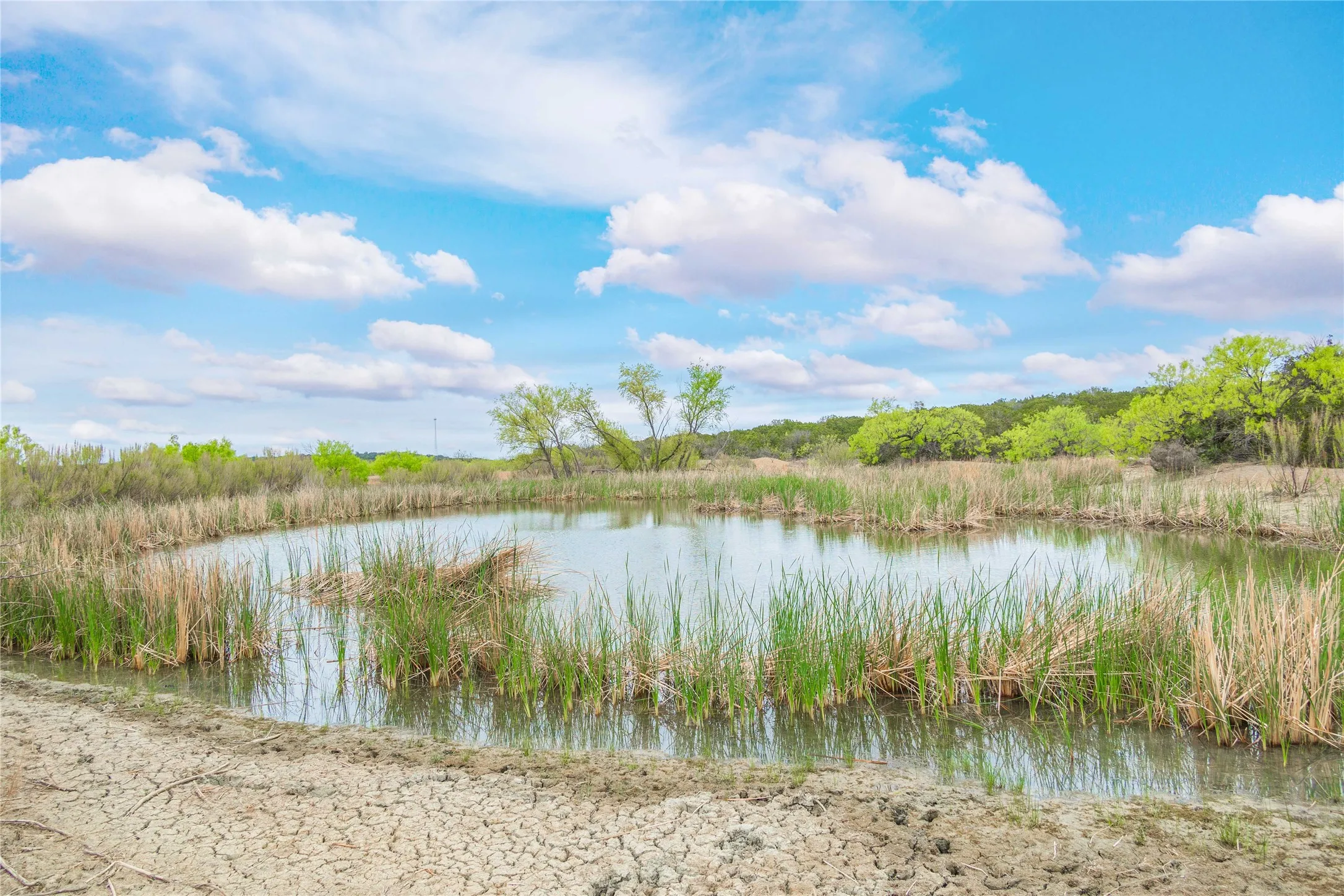 Ranch For Sale in Mc Culloch County , 000TBD Hwy 377, Mercury, Texas 76872, 0, 0, Garage spaces, 0 Sqft, built in 0, mls#20898116, Real Estate Agent in Mercury, Homes For Sale in Mc Culloch county, Homes For Sale in Mercury, Realtor in Mercury Texas, Real Estate Brokerage Independent Realty Texas, Luminita Cordes Realtor