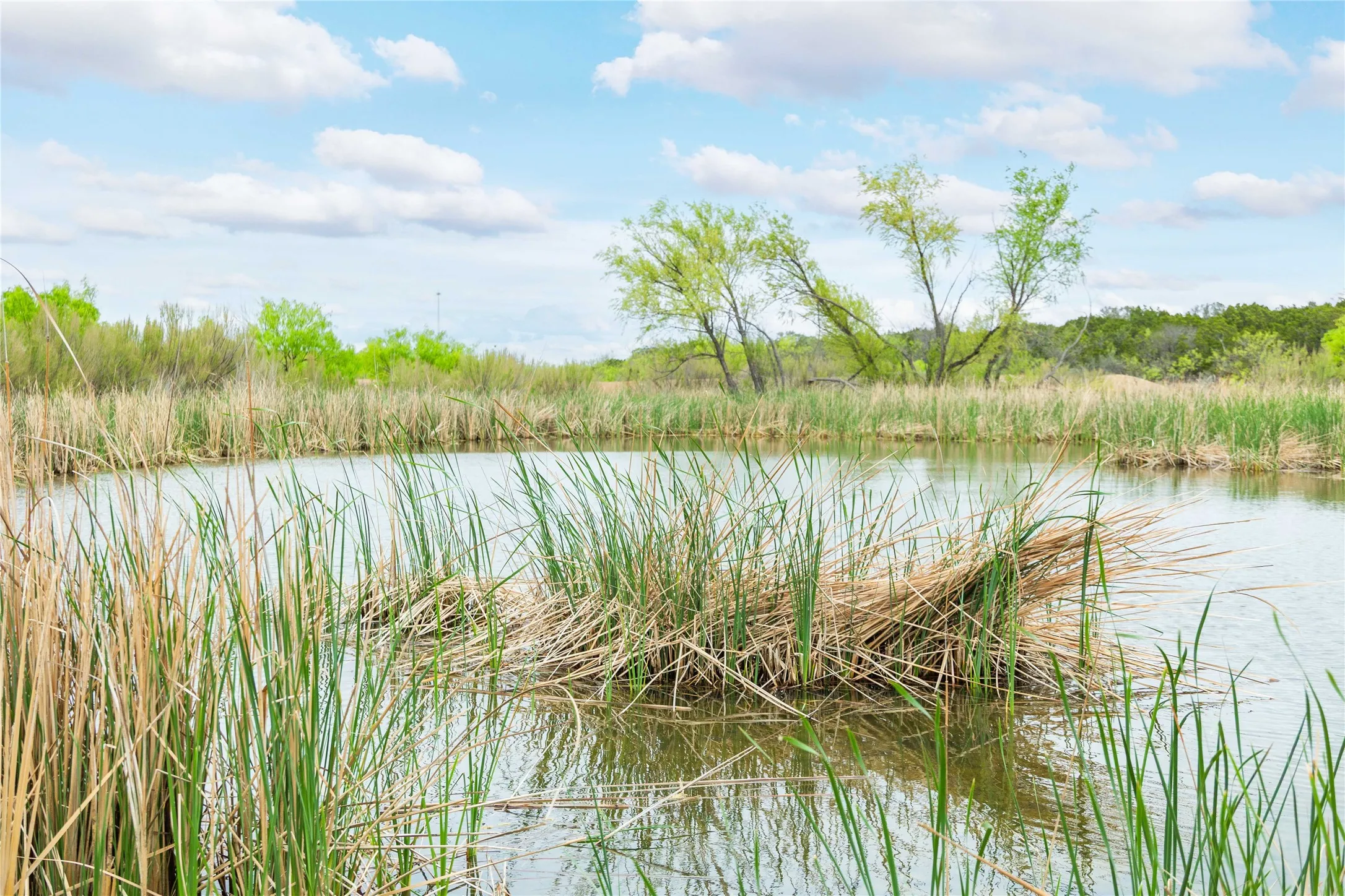 Ranch For Sale in Mc Culloch County , 000TBD Hwy 377, Mercury, Texas 76872, 0, 0, Garage spaces, 0 Sqft, built in 0, mls#20898116, Real Estate Agent in Mercury, Homes For Sale in Mc Culloch county, Homes For Sale in Mercury, Realtor in Mercury Texas, Real Estate Brokerage Independent Realty Texas, Luminita Cordes Realtor