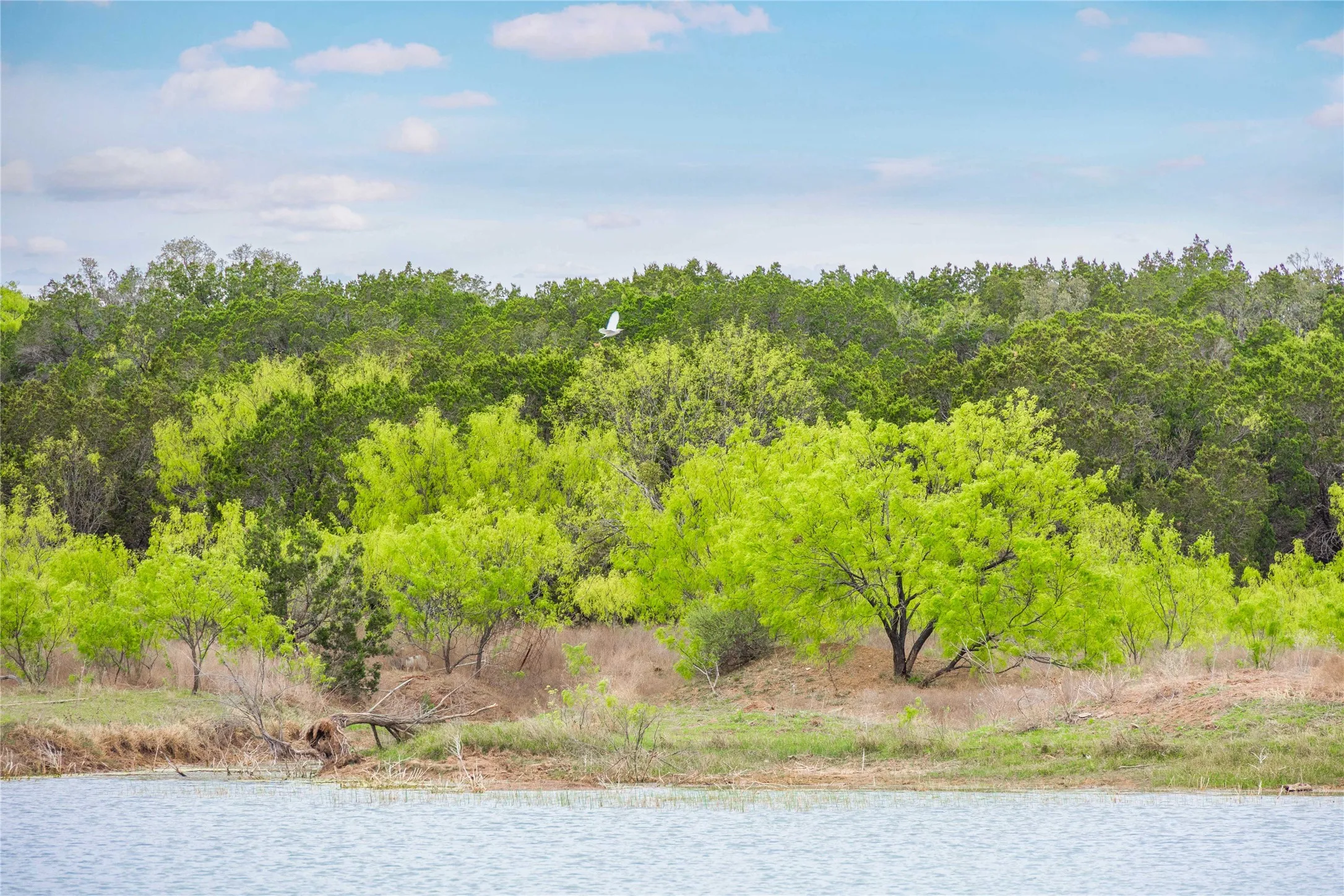 Ranch For Sale in Mc Culloch County , 000TBD Hwy 377, Mercury, Texas 76872, 0, 0, Garage spaces, 0 Sqft, built in 0, mls#20898116, Real Estate Agent in Mercury, Homes For Sale in Mc Culloch county, Homes For Sale in Mercury, Realtor in Mercury Texas, Real Estate Brokerage Independent Realty Texas, Luminita Cordes Realtor