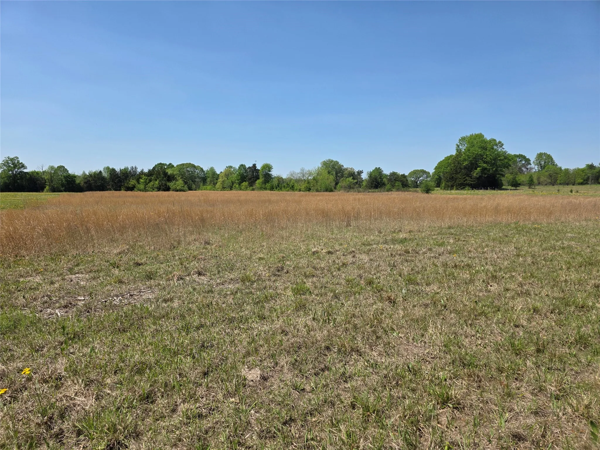 View of local wilderness featuring a rural view