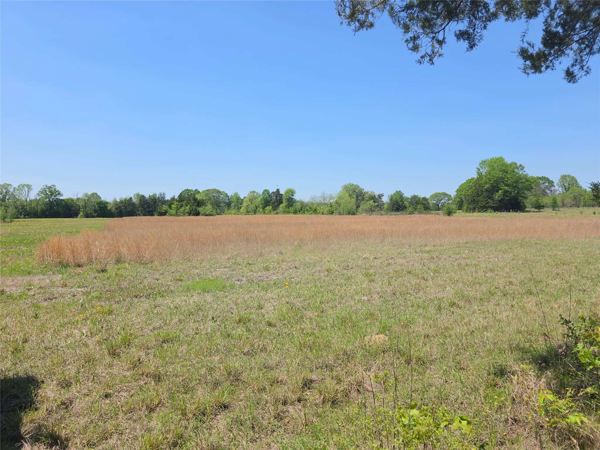 Unimproved Land For Sale in Bowie County , 0000 Cr-4240, Simms, Texas 75574, 0, 0, Garage spaces, 0 Sqft, built in 0, Price $115,000, mls#20900813, Real Estate Agent in Simms, Homes For Sale in Bowie county, Homes For Sale in Simms, Realtor in Simms Texas, Real Estate Brokerage Independent Realty Texas, Luminita Cordes Realtor