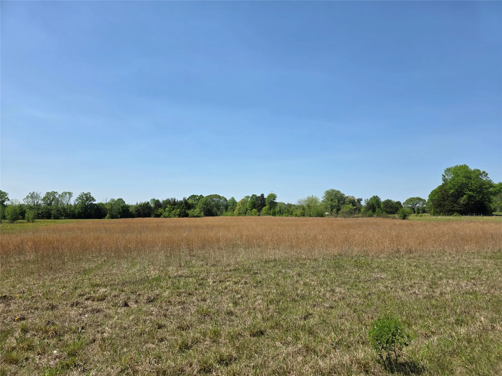 View of local wilderness with a rural view