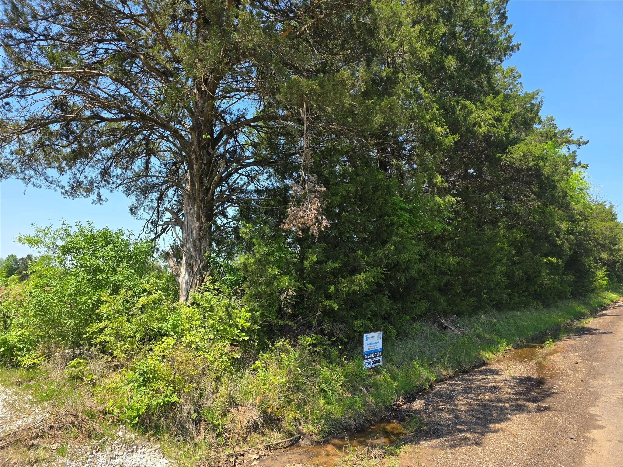 Unimproved Land For Sale in Bowie County , 0000 Cr-4240, Simms, Texas 75574, 0, 0, Garage spaces, 0 Sqft, built in 0, Price $115,000, mls#20900813, Real Estate Agent in Simms, Homes For Sale in Bowie county, Homes For Sale in Simms, Realtor in Simms Texas, Real Estate Brokerage Independent Realty Texas, Luminita Cordes Realtor
