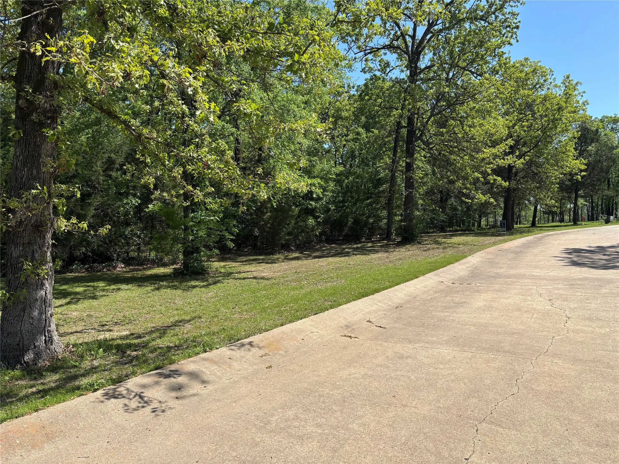 View of road with a view of trees