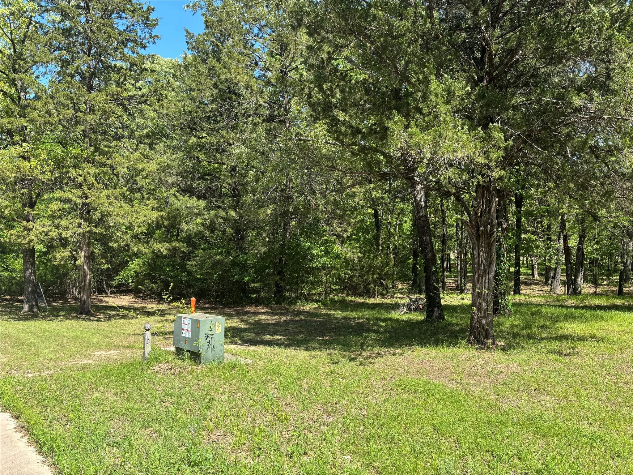 View of yard featuring a wooded view