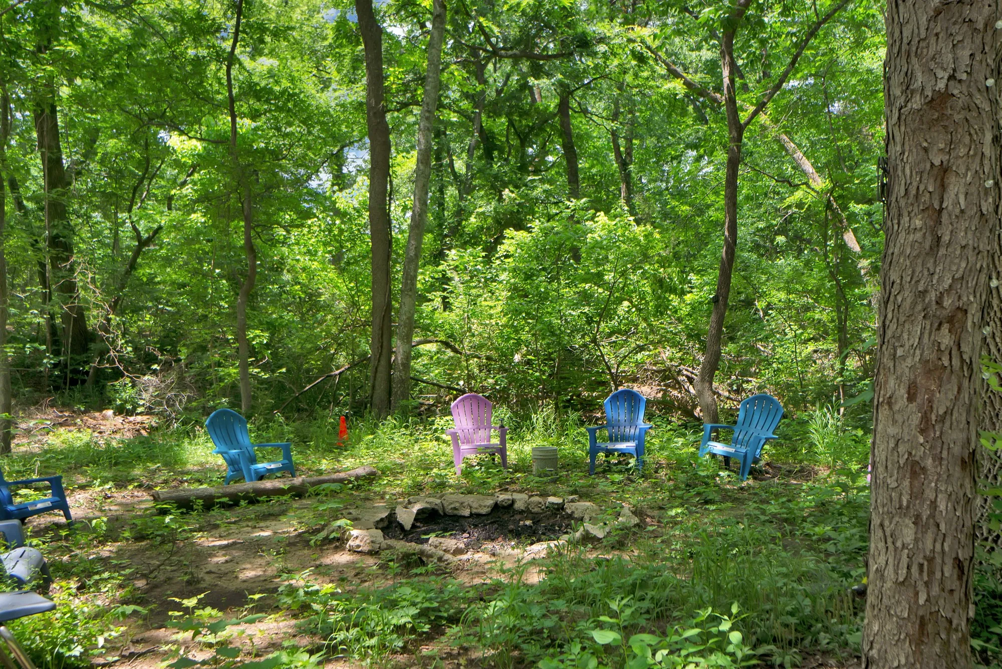 Unimproved Land For Sale in Grayson County , 322 Grigg Road, Sherman, Texas 75090, 0, 0, Garage spaces, 0 Sqft, built in 0, mls#20903005, Real Estate Agent in Sherman, Homes For Sale in Grayson county, Homes For Sale in Sherman, Realtor in Sherman Texas, Real Estate Brokerage Independent Realty Texas, Luminita Cordes Realtor