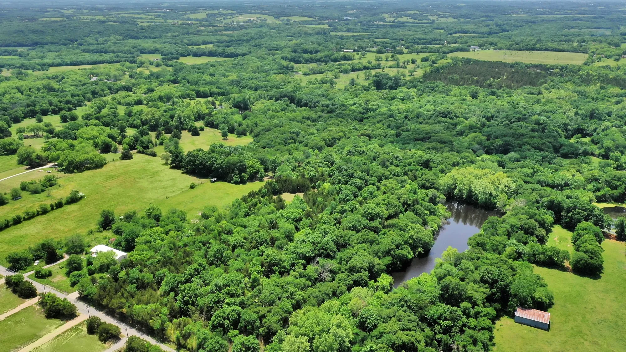 Unimproved Land For Sale in Grayson County , 322 Grigg Road, Sherman, Texas 75090, 0, 0, Garage spaces, 0 Sqft, built in 0, mls#20903005, Real Estate Agent in Sherman, Homes For Sale in Grayson county, Homes For Sale in Sherman, Realtor in Sherman Texas, Real Estate Brokerage Independent Realty Texas, Luminita Cordes Realtor