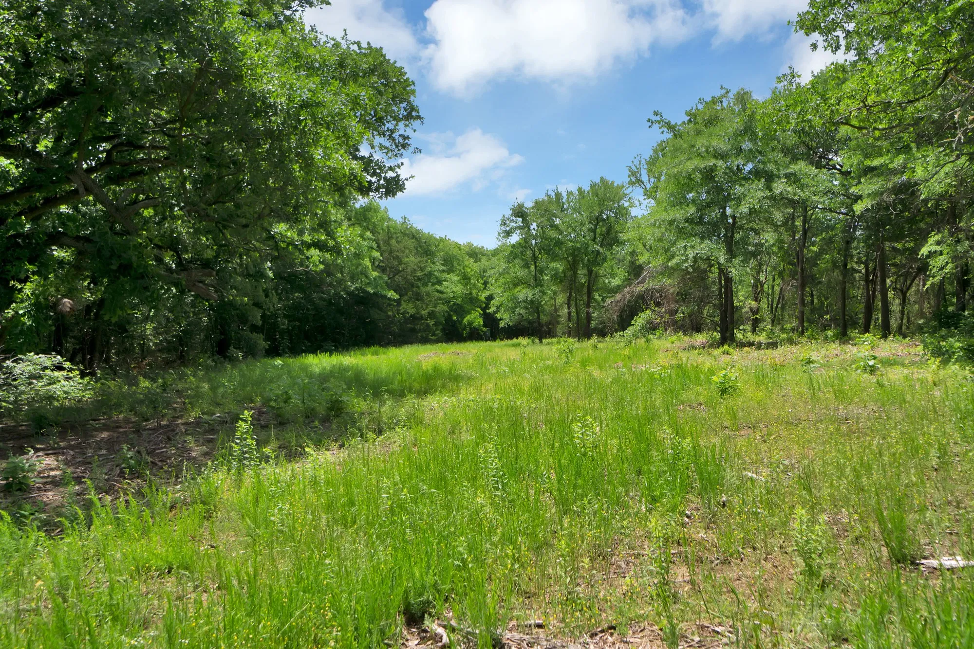 Unimproved Land For Sale in Grayson County , 322 Grigg Road, Sherman, Texas 75090, 0, 0, Garage spaces, 0 Sqft, built in 0, mls#20903005, Real Estate Agent in Sherman, Homes For Sale in Grayson county, Homes For Sale in Sherman, Realtor in Sherman Texas, Real Estate Brokerage Independent Realty Texas, Luminita Cordes Realtor