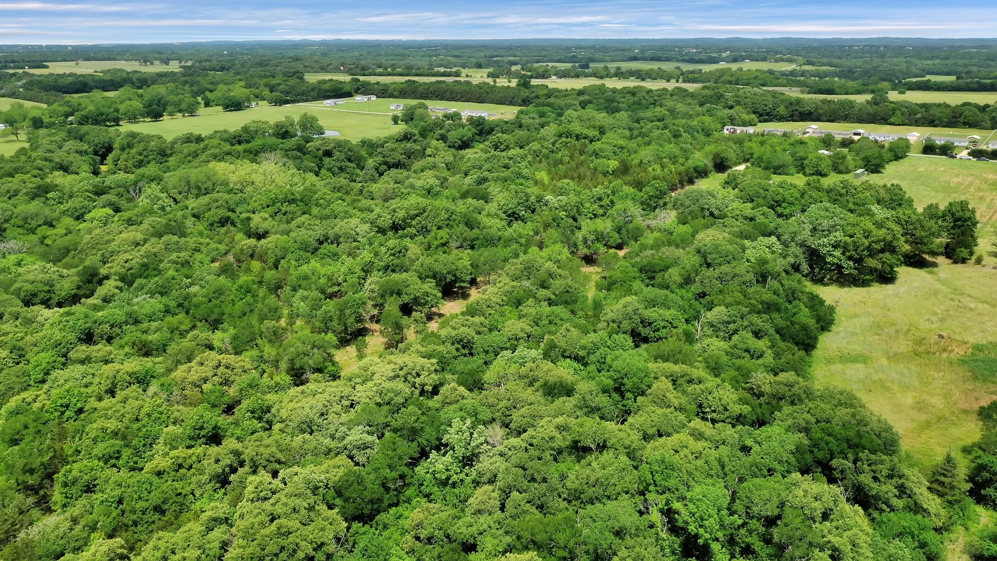 Unimproved Land For Sale in Grayson County , 322 Grigg Road, Sherman, Texas 75090, 0, 0, Garage spaces, 0 Sqft, built in 0, mls#20903005, Real Estate Agent in Sherman, Homes For Sale in Grayson county, Homes For Sale in Sherman, Realtor in Sherman Texas, Real Estate Brokerage Independent Realty Texas, Luminita Cordes Realtor