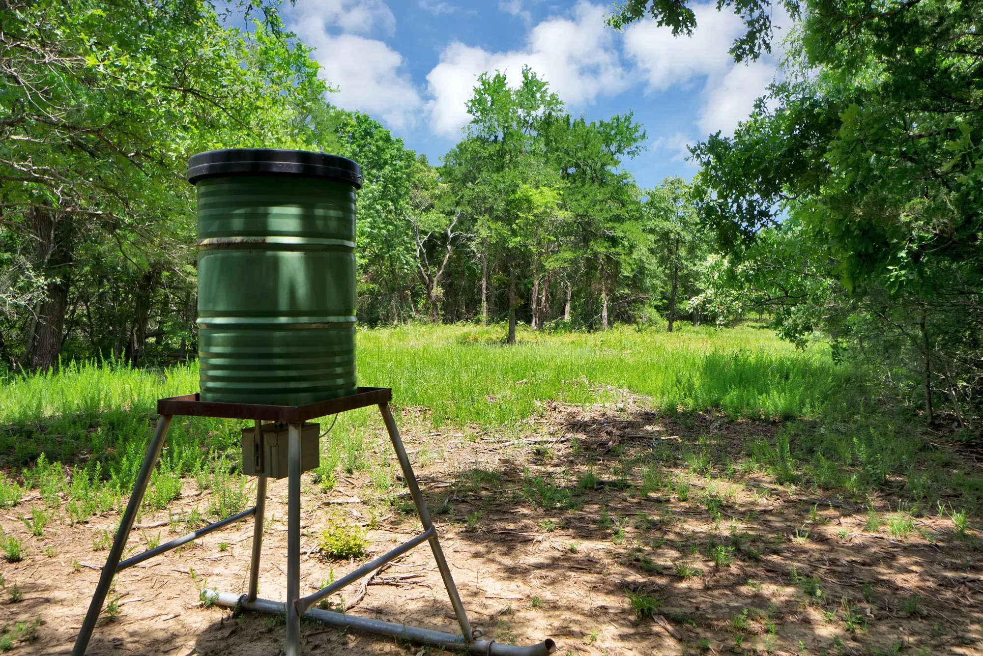 Unimproved Land For Sale in Grayson County , 322 Grigg Road, Sherman, Texas 75090, 0, 0, Garage spaces, 0 Sqft, built in 0, mls#20903005, Real Estate Agent in Sherman, Homes For Sale in Grayson county, Homes For Sale in Sherman, Realtor in Sherman Texas, Real Estate Brokerage Independent Realty Texas, Luminita Cordes Realtor