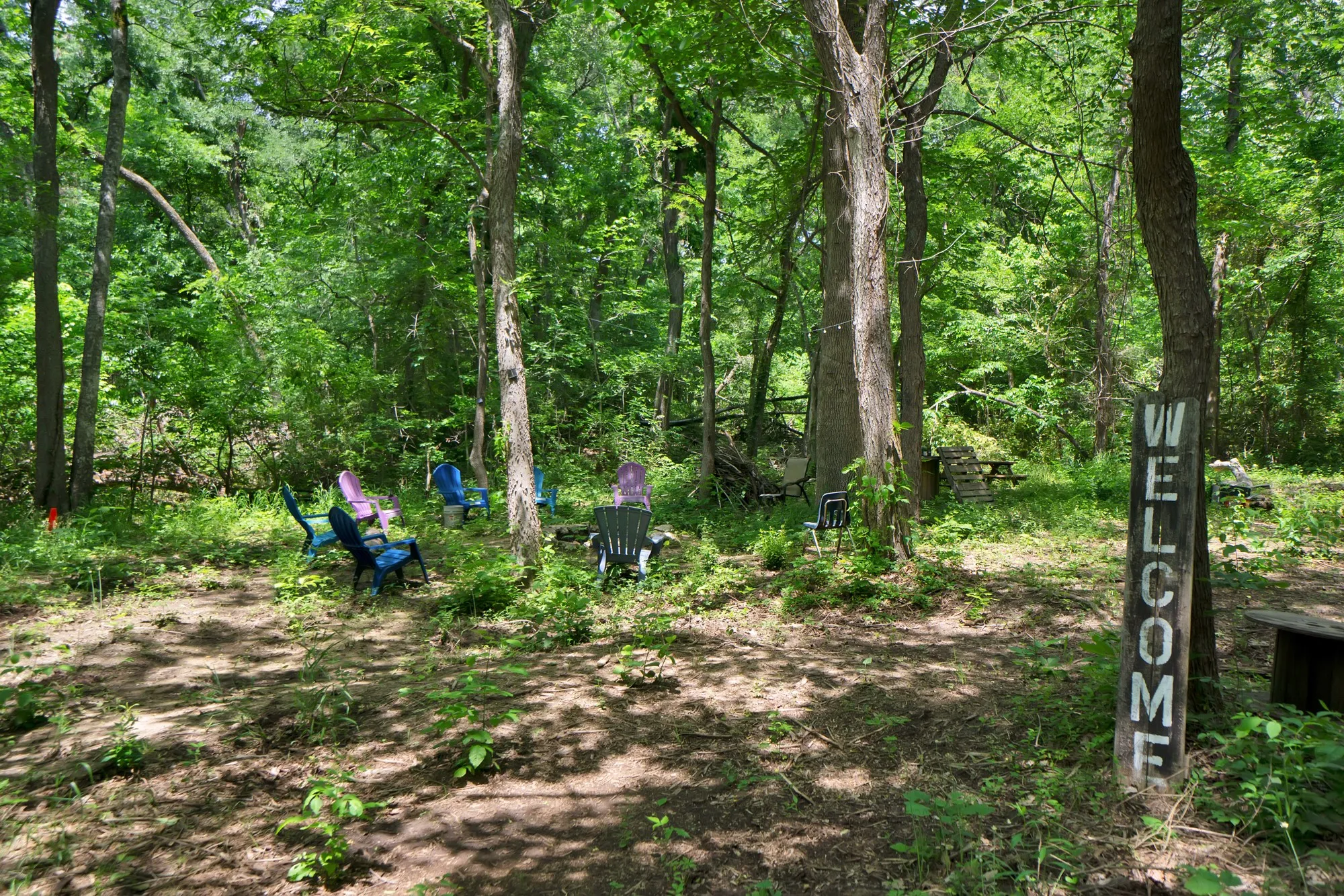 Unimproved Land For Sale in Grayson County , 322 Grigg Road, Sherman, Texas 75090, 0, 0, Garage spaces, 0 Sqft, built in 0, mls#20903005, Real Estate Agent in Sherman, Homes For Sale in Grayson county, Homes For Sale in Sherman, Realtor in Sherman Texas, Real Estate Brokerage Independent Realty Texas, Luminita Cordes Realtor