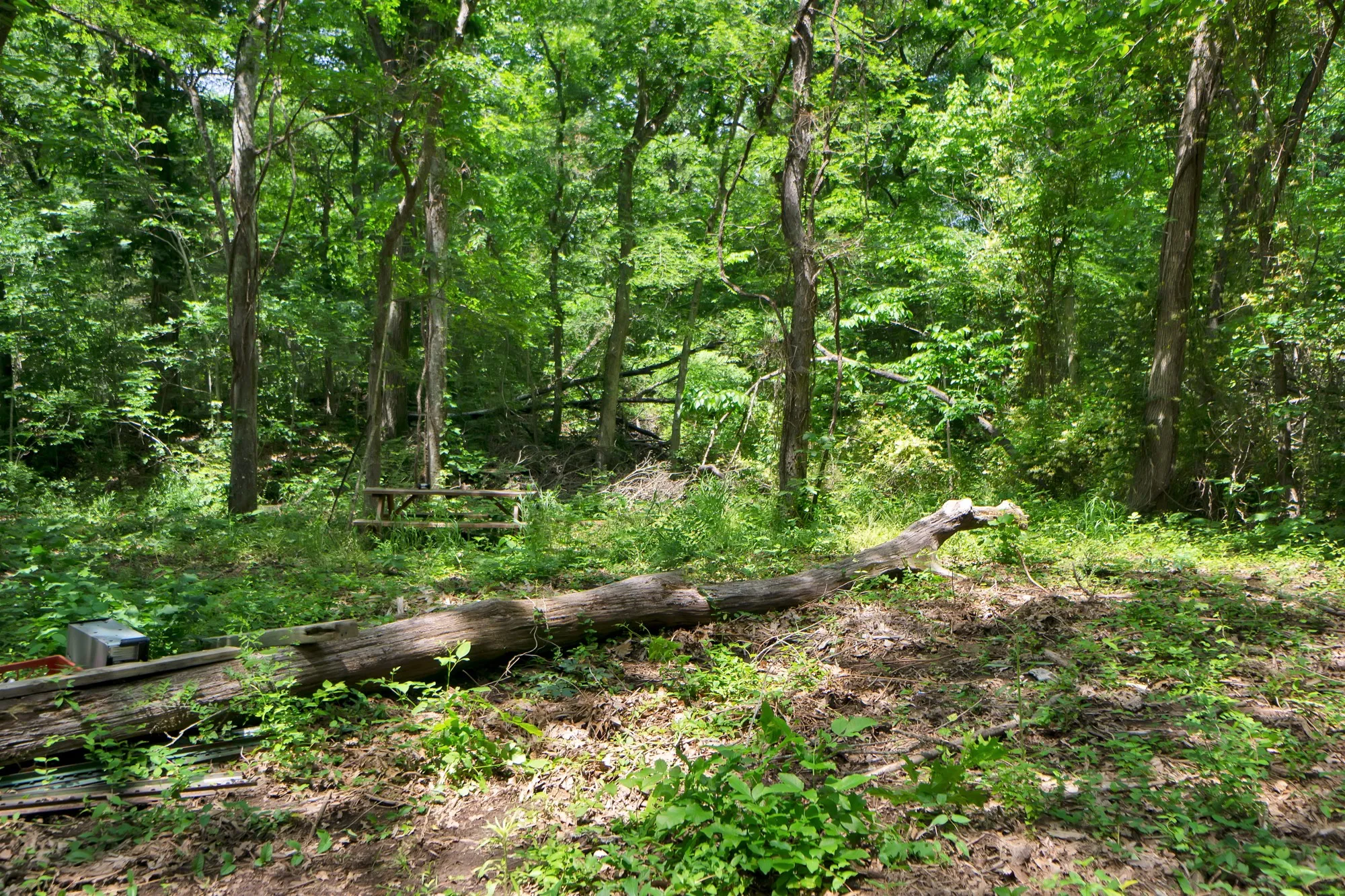 Unimproved Land For Sale in Grayson County , 322 Grigg Road, Sherman, Texas 75090, 0, 0, Garage spaces, 0 Sqft, built in 0, mls#20903005, Real Estate Agent in Sherman, Homes For Sale in Grayson county, Homes For Sale in Sherman, Realtor in Sherman Texas, Real Estate Brokerage Independent Realty Texas, Luminita Cordes Realtor