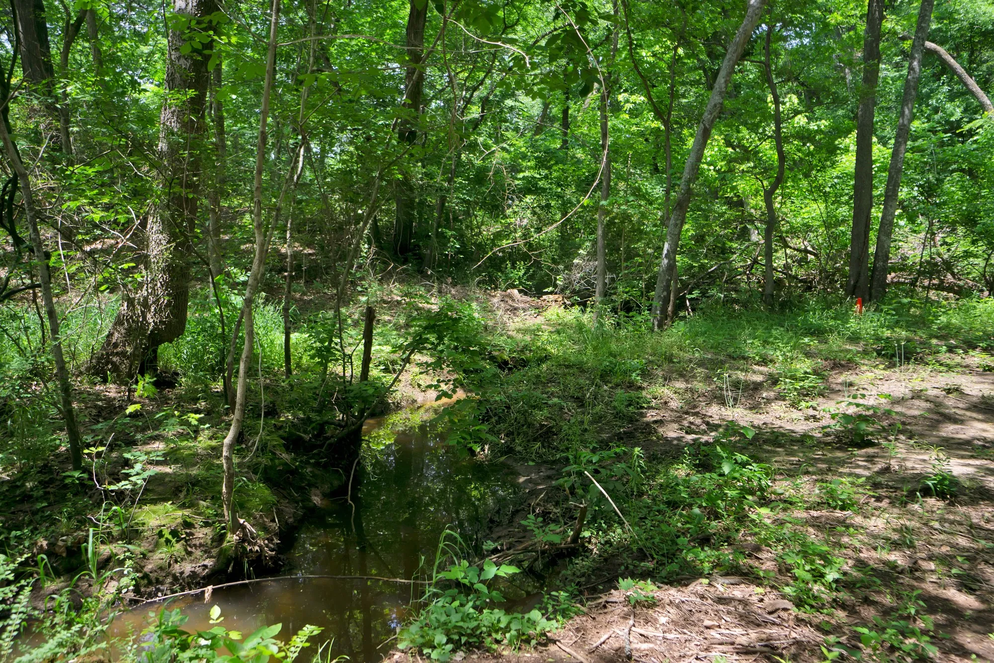 Unimproved Land For Sale in Grayson County , 322 Grigg Road, Sherman, Texas 75090, 0, 0, Garage spaces, 0 Sqft, built in 0, mls#20903005, Real Estate Agent in Sherman, Homes For Sale in Grayson county, Homes For Sale in Sherman, Realtor in Sherman Texas, Real Estate Brokerage Independent Realty Texas, Luminita Cordes Realtor
