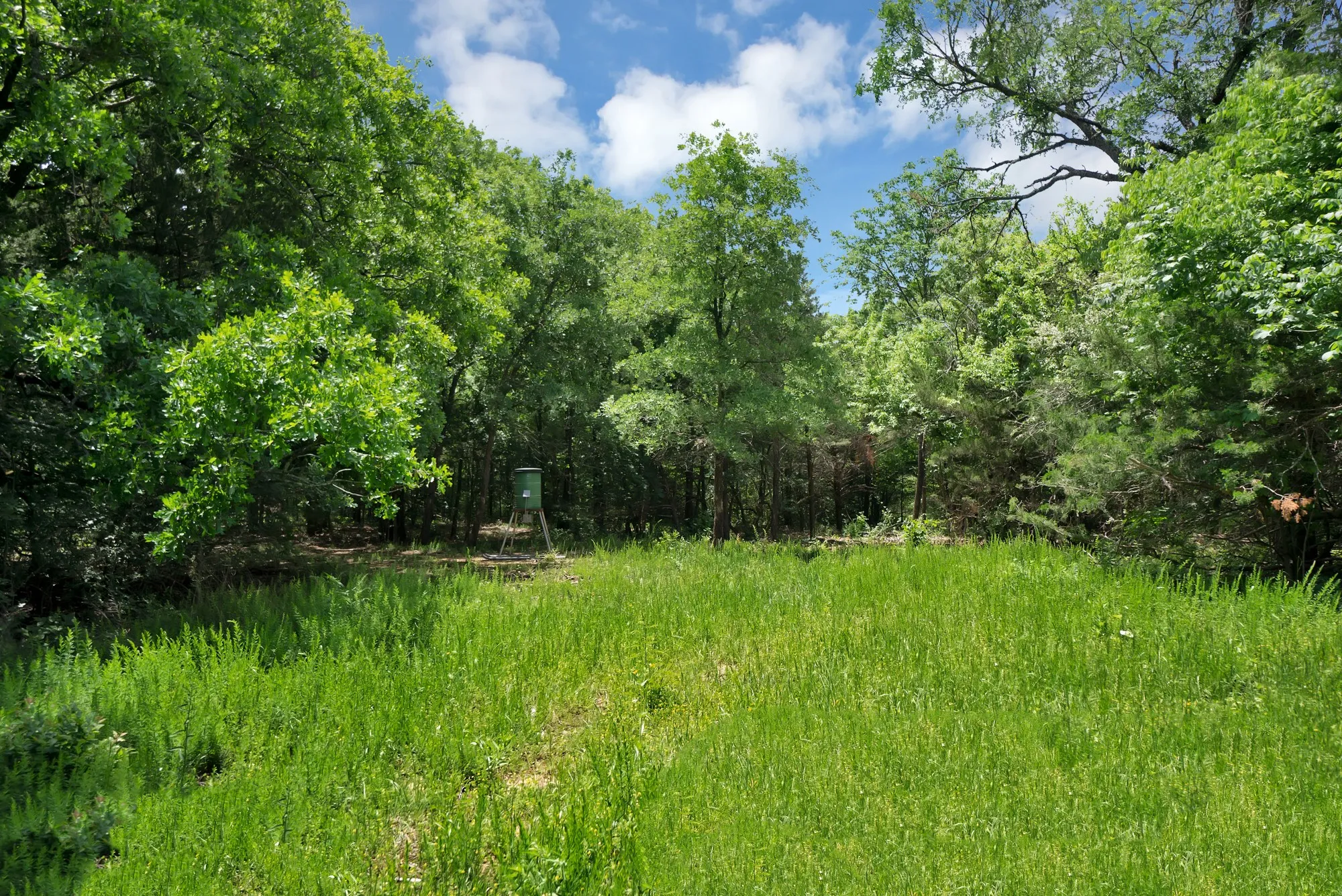 Unimproved Land For Sale in Grayson County , 322 Grigg Road, Sherman, Texas 75090, 0, 0, Garage spaces, 0 Sqft, built in 0, mls#20903005, Real Estate Agent in Sherman, Homes For Sale in Grayson county, Homes For Sale in Sherman, Realtor in Sherman Texas, Real Estate Brokerage Independent Realty Texas, Luminita Cordes Realtor