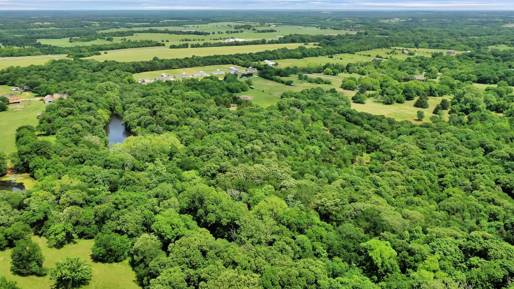 Unimproved Land For Sale in Grayson County , 322 Grigg Road, Sherman, Texas 75090, 0, 0, Garage spaces, 0 Sqft, built in 0, mls#20903005, Real Estate Agent in Sherman, Homes For Sale in Grayson county, Homes For Sale in Sherman, Realtor in Sherman Texas, Real Estate Brokerage Independent Realty Texas, Luminita Cordes Realtor