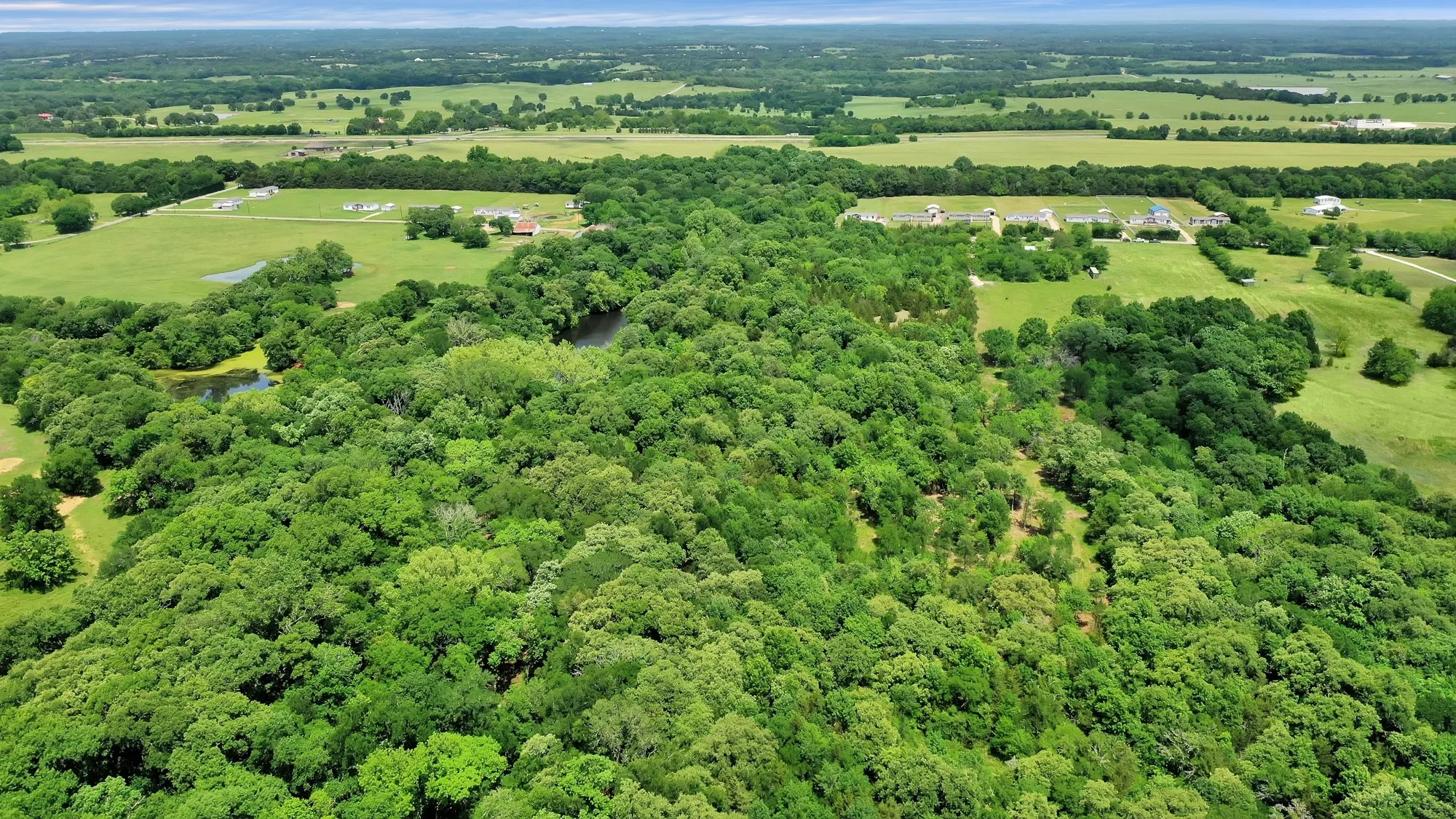 Unimproved Land For Sale in Grayson County , 322 Grigg Road, Sherman, Texas 75090, 0, 0, Garage spaces, 0 Sqft, built in 0, mls#20903005, Real Estate Agent in Sherman, Homes For Sale in Grayson county, Homes For Sale in Sherman, Realtor in Sherman Texas, Real Estate Brokerage Independent Realty Texas, Luminita Cordes Realtor
