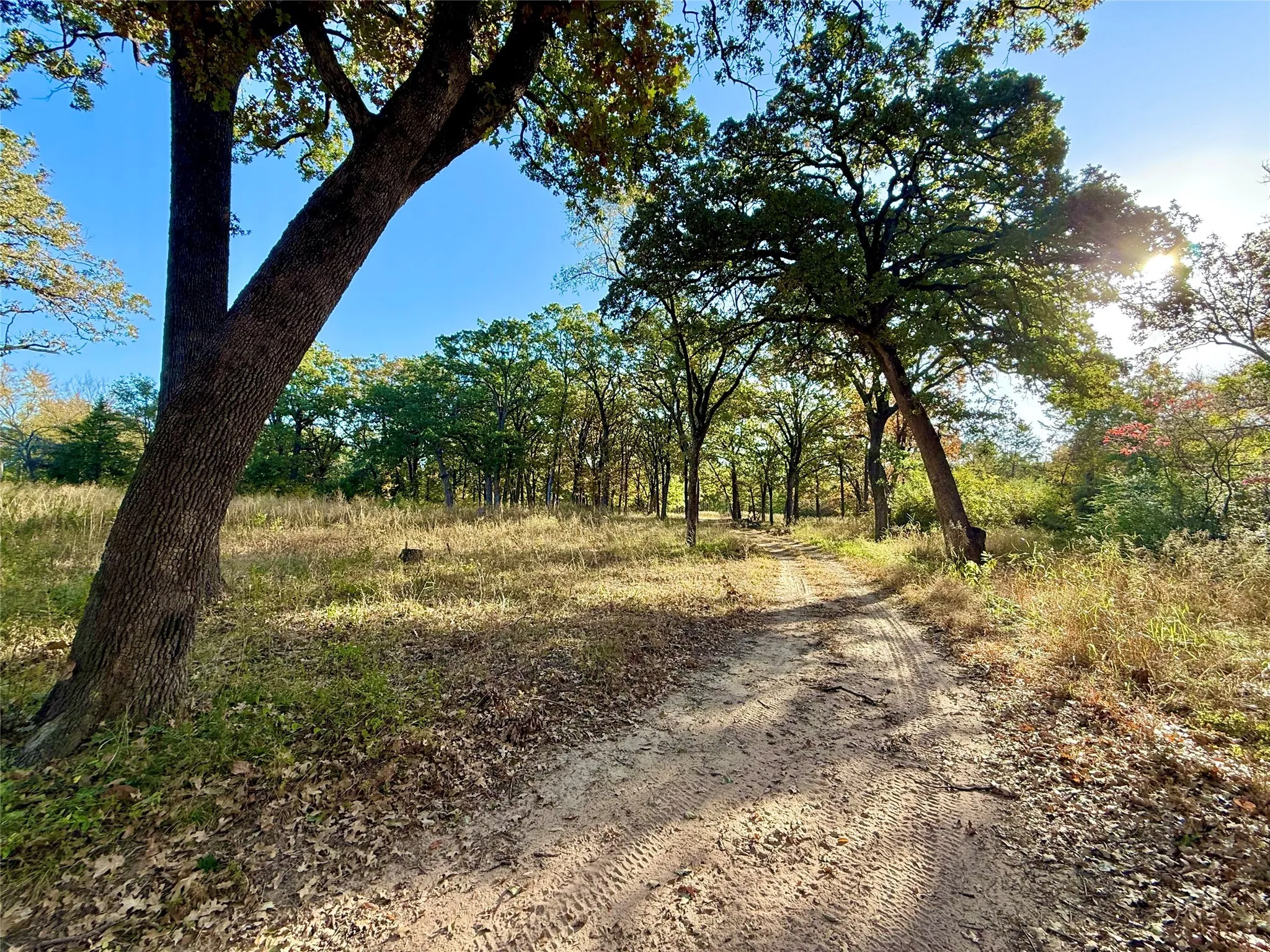 Unimproved Land For Sale in Fannin County , 264 County Road 1452, Bonham, Texas 75418, 0, 0, Garage spaces, 0 Sqft, built in 0, mls#20903430, Real Estate Agent in Bonham, Homes For Sale in Fannin county, Homes For Sale in Bonham, Realtor in Bonham Texas, Real Estate Brokerage Independent Realty Texas, Luminita Cordes Realtor