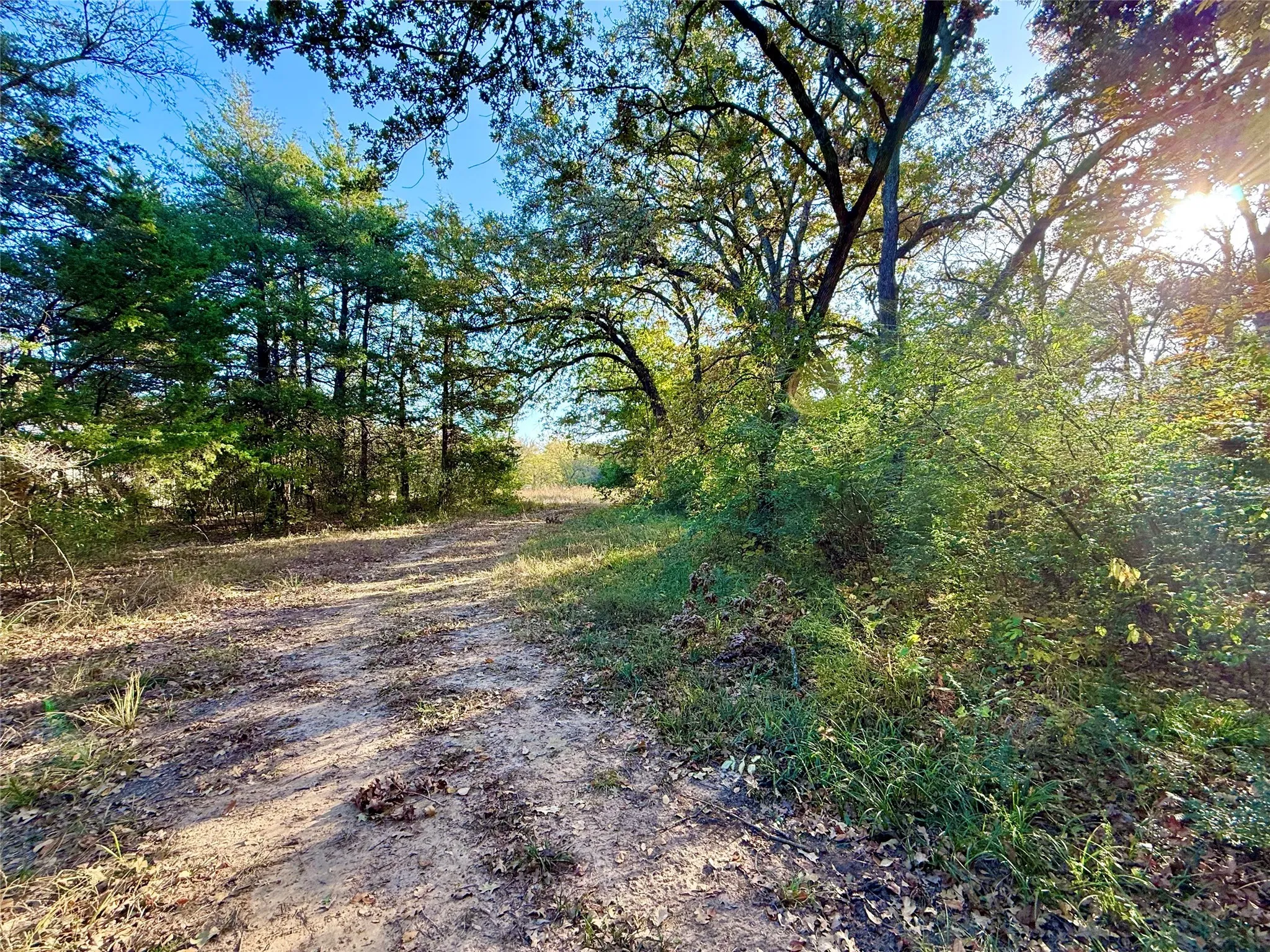 Unimproved Land For Sale in Fannin County , 264 County Road 1452, Bonham, Texas 75418, 0, 0, Garage spaces, 0 Sqft, built in 0, mls#20903430, Real Estate Agent in Bonham, Homes For Sale in Fannin county, Homes For Sale in Bonham, Realtor in Bonham Texas, Real Estate Brokerage Independent Realty Texas, Luminita Cordes Realtor