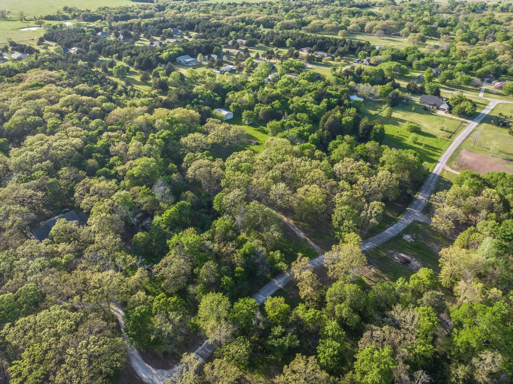 Unimproved Land For Sale in Fannin County , 264 County Road 1452, Bonham, Texas 75418, 0, 0, Garage spaces, 0 Sqft, built in 0, mls#20903430, Real Estate Agent in Bonham, Homes For Sale in Fannin county, Homes For Sale in Bonham, Realtor in Bonham Texas, Real Estate Brokerage Independent Realty Texas, Luminita Cordes Realtor