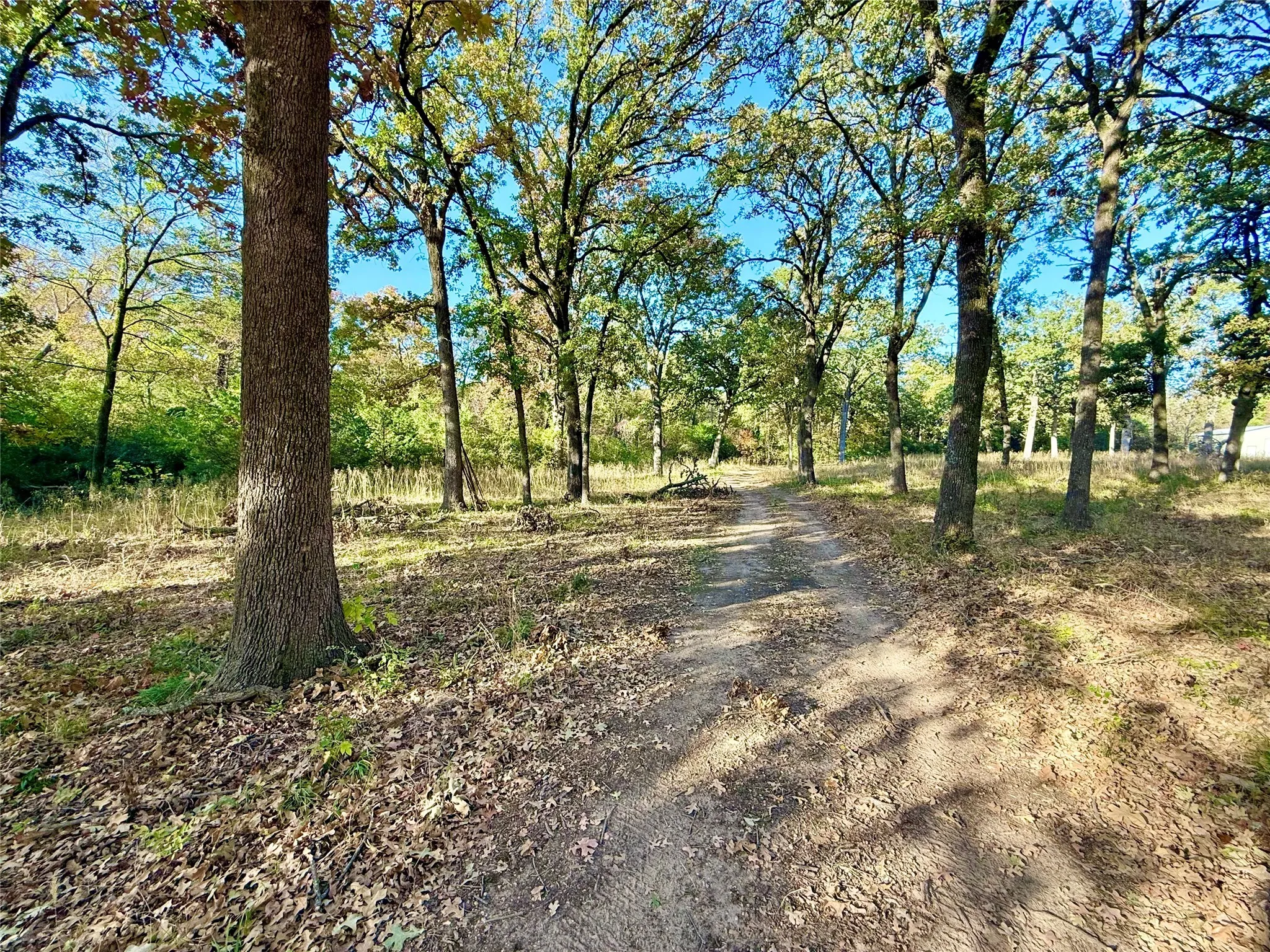 Unimproved Land For Sale in Fannin County , 264 County Road 1452, Bonham, Texas 75418, 0, 0, Garage spaces, 0 Sqft, built in 0, mls#20903430, Real Estate Agent in Bonham, Homes For Sale in Fannin county, Homes For Sale in Bonham, Realtor in Bonham Texas, Real Estate Brokerage Independent Realty Texas, Luminita Cordes Realtor