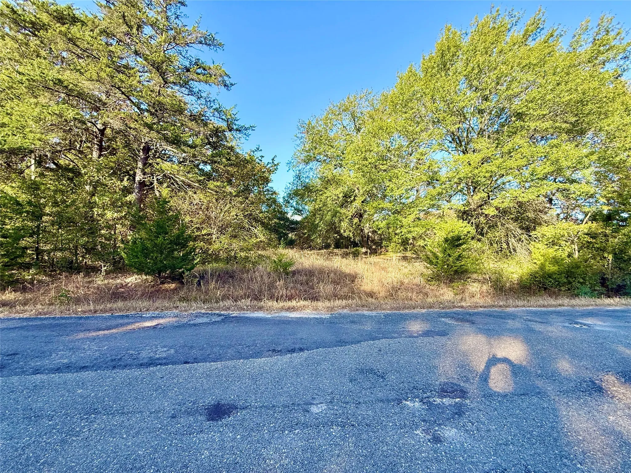 Unimproved Land For Sale in Fannin County , 264 County Road 1452, Bonham, Texas 75418, 0, 0, Garage spaces, 0 Sqft, built in 0, mls#20903430, Real Estate Agent in Bonham, Homes For Sale in Fannin county, Homes For Sale in Bonham, Realtor in Bonham Texas, Real Estate Brokerage Independent Realty Texas, Luminita Cordes Realtor
