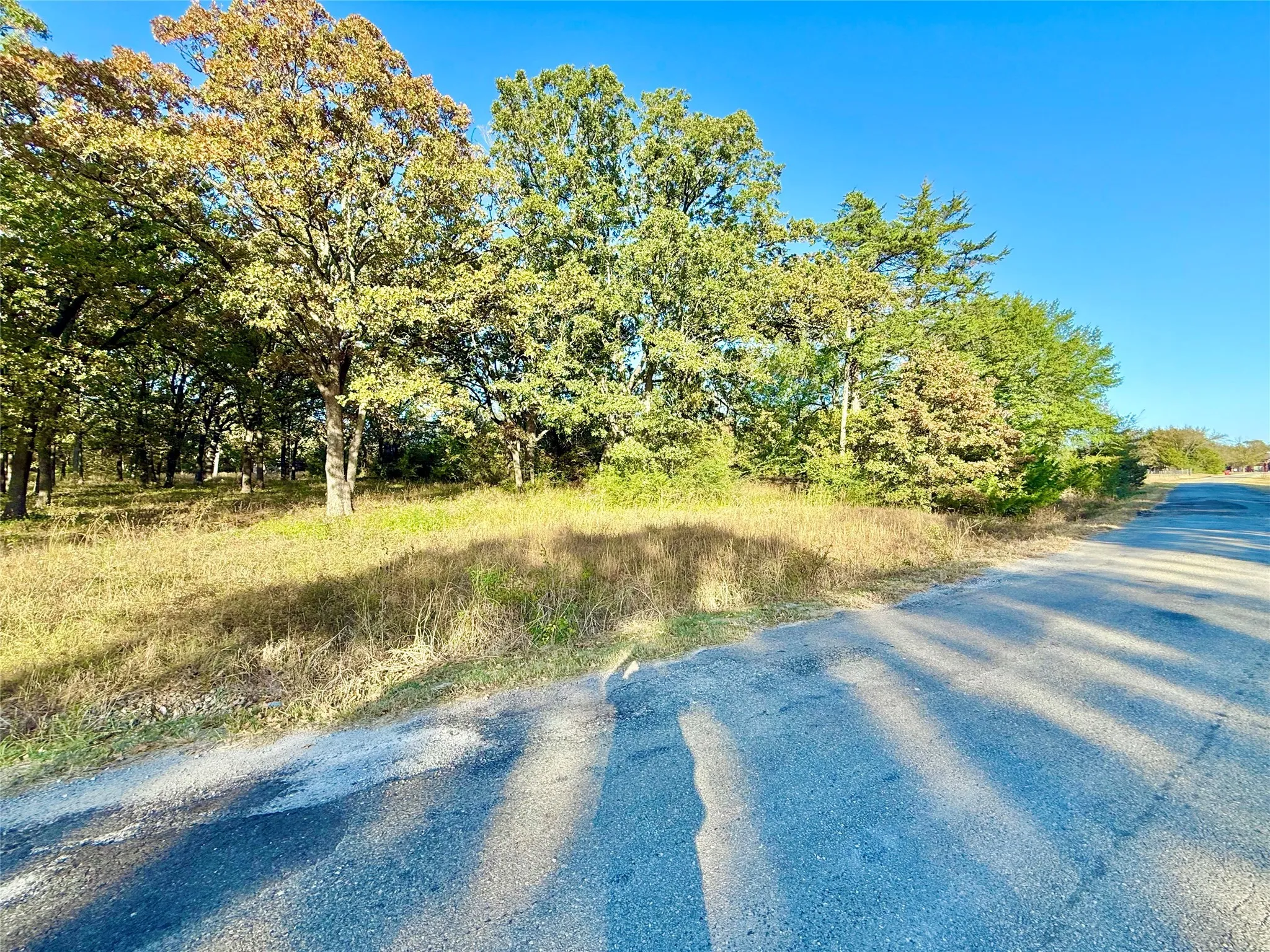 Unimproved Land For Sale in Fannin County , 264 County Road 1452, Bonham, Texas 75418, 0, 0, Garage spaces, 0 Sqft, built in 0, mls#20903430, Real Estate Agent in Bonham, Homes For Sale in Fannin county, Homes For Sale in Bonham, Realtor in Bonham Texas, Real Estate Brokerage Independent Realty Texas, Luminita Cordes Realtor