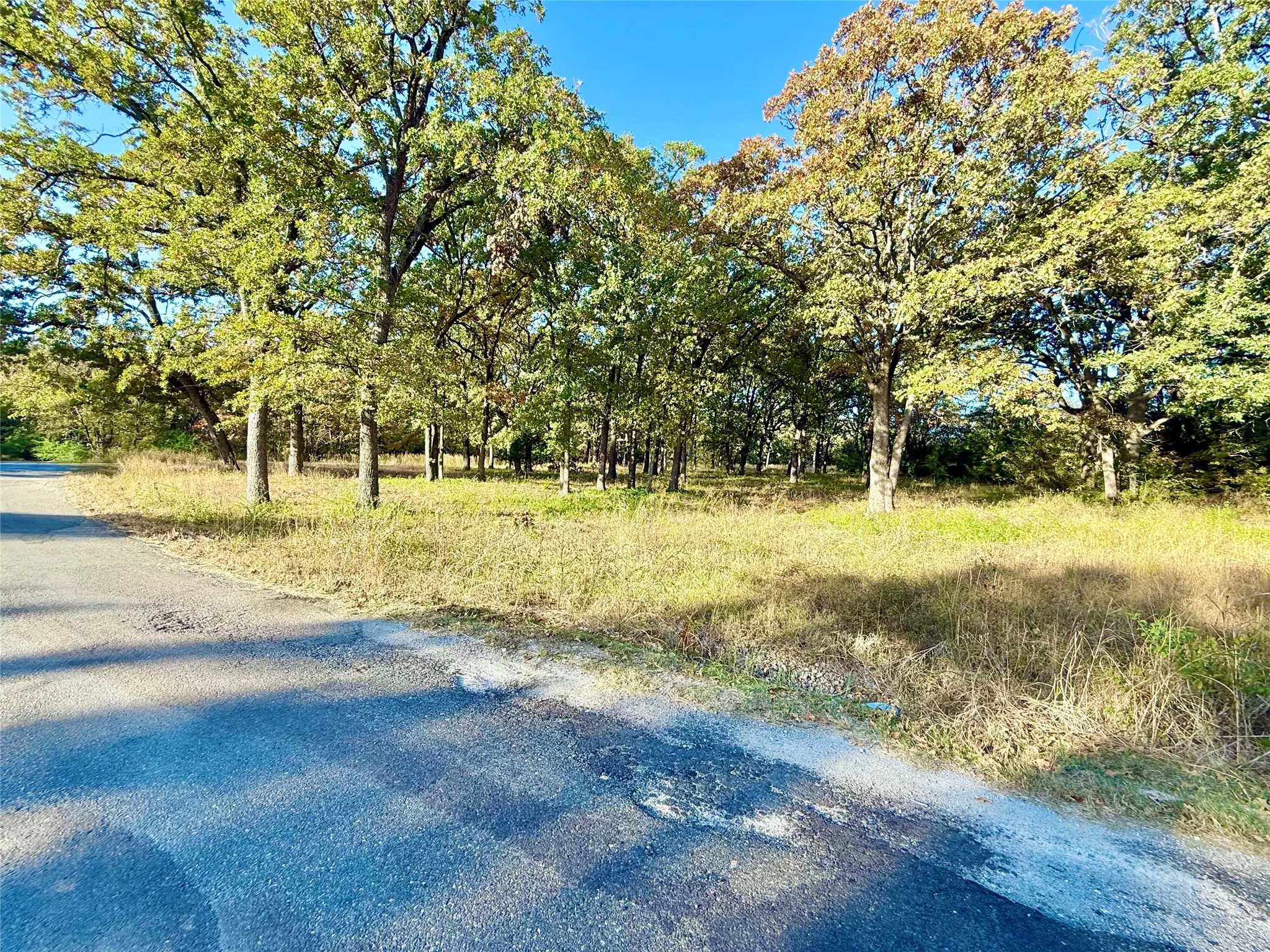 Unimproved Land For Sale in Fannin County , 264 County Road 1452, Bonham, Texas 75418, 0, 0, Garage spaces, 0 Sqft, built in 0, mls#20903430, Real Estate Agent in Bonham, Homes For Sale in Fannin county, Homes For Sale in Bonham, Realtor in Bonham Texas, Real Estate Brokerage Independent Realty Texas, Luminita Cordes Realtor