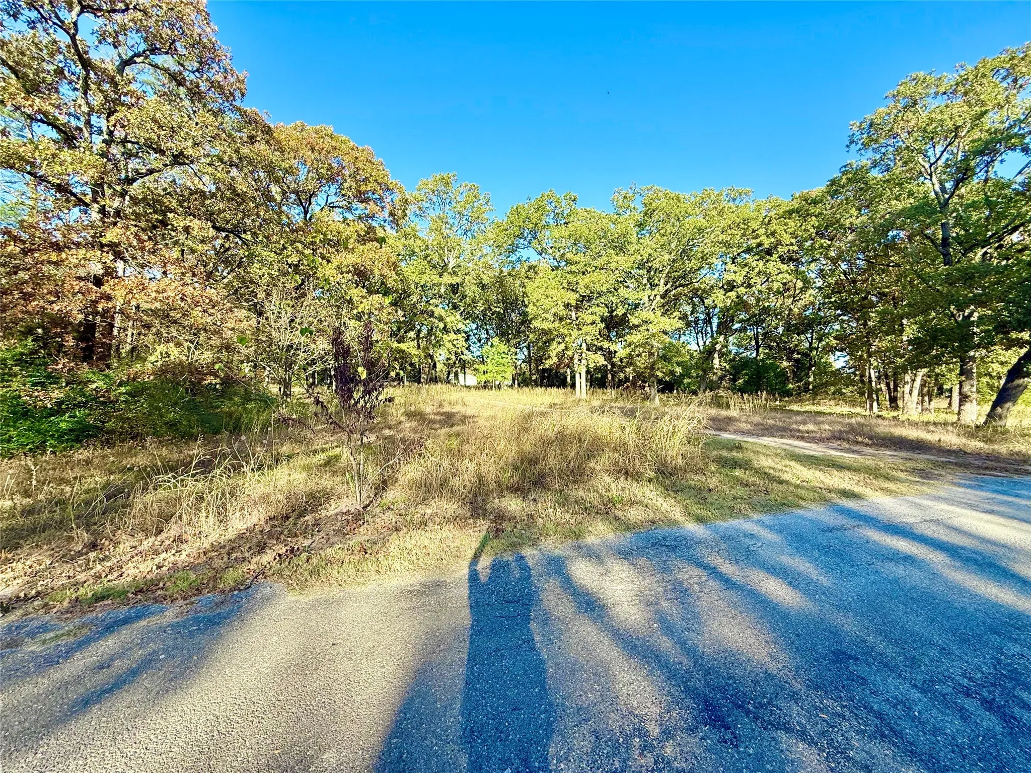 Unimproved Land For Sale in Fannin County , 264 County Road 1452, Bonham, Texas 75418, 0, 0, Garage spaces, 0 Sqft, built in 0, mls#20903430, Real Estate Agent in Bonham, Homes For Sale in Fannin county, Homes For Sale in Bonham, Realtor in Bonham Texas, Real Estate Brokerage Independent Realty Texas, Luminita Cordes Realtor
