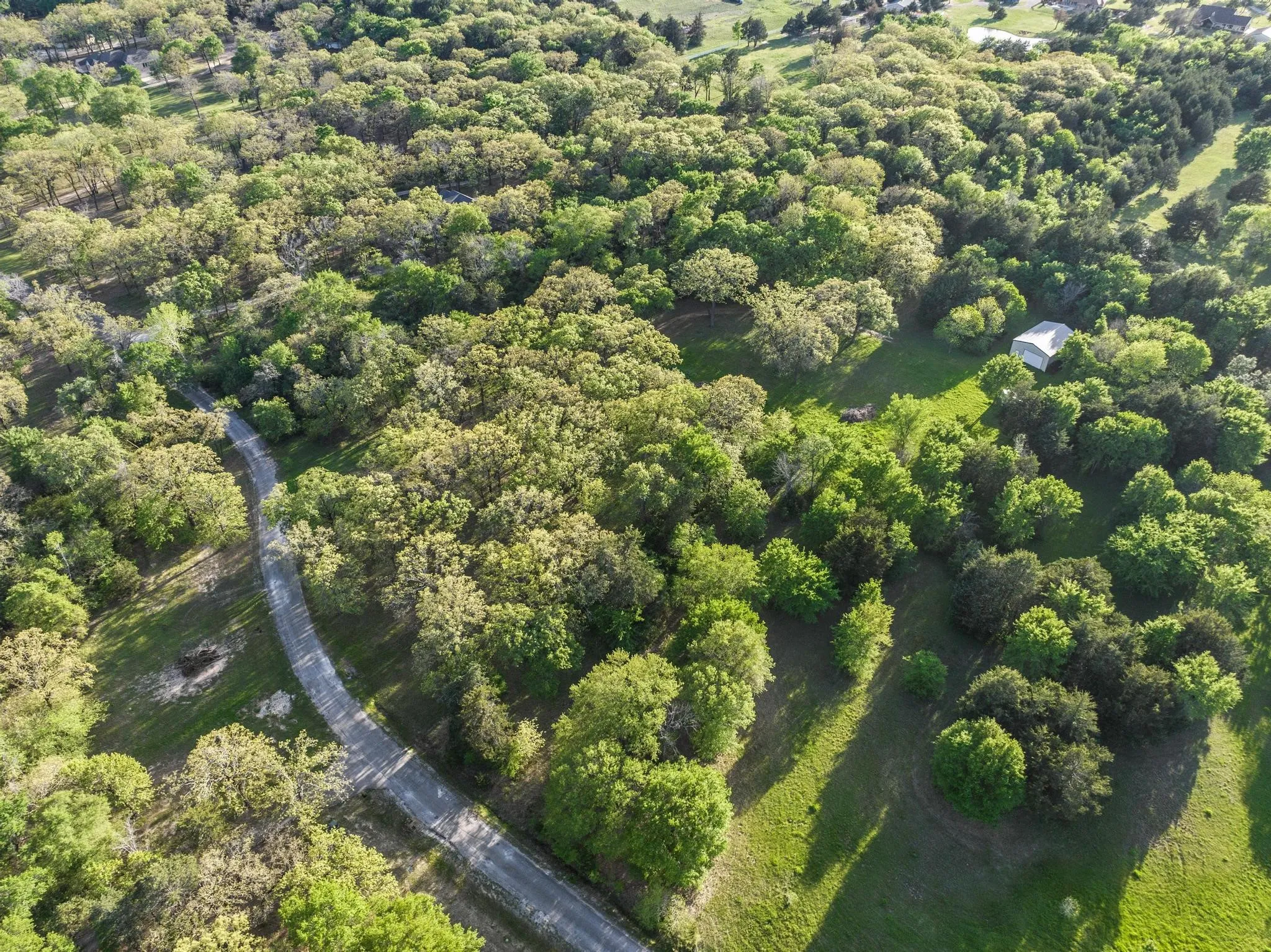 Unimproved Land For Sale in Fannin County , 264 County Road 1452, Bonham, Texas 75418, 0, 0, Garage spaces, 0 Sqft, built in 0, mls#20903430, Real Estate Agent in Bonham, Homes For Sale in Fannin county, Homes For Sale in Bonham, Realtor in Bonham Texas, Real Estate Brokerage Independent Realty Texas, Luminita Cordes Realtor