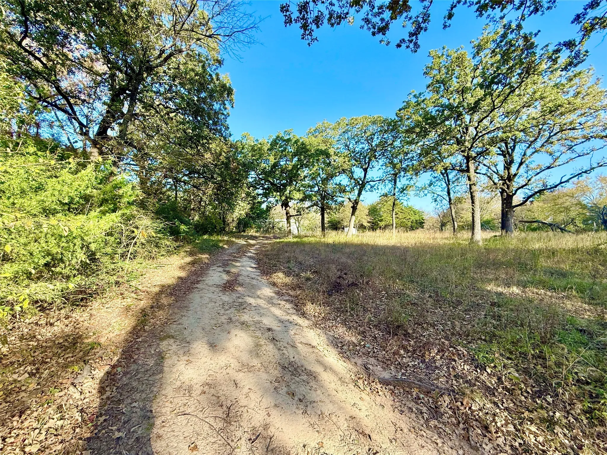 Unimproved Land For Sale in Fannin County , 264 County Road 1452, Bonham, Texas 75418, 0, 0, Garage spaces, 0 Sqft, built in 0, mls#20903430, Real Estate Agent in Bonham, Homes For Sale in Fannin county, Homes For Sale in Bonham, Realtor in Bonham Texas, Real Estate Brokerage Independent Realty Texas, Luminita Cordes Realtor