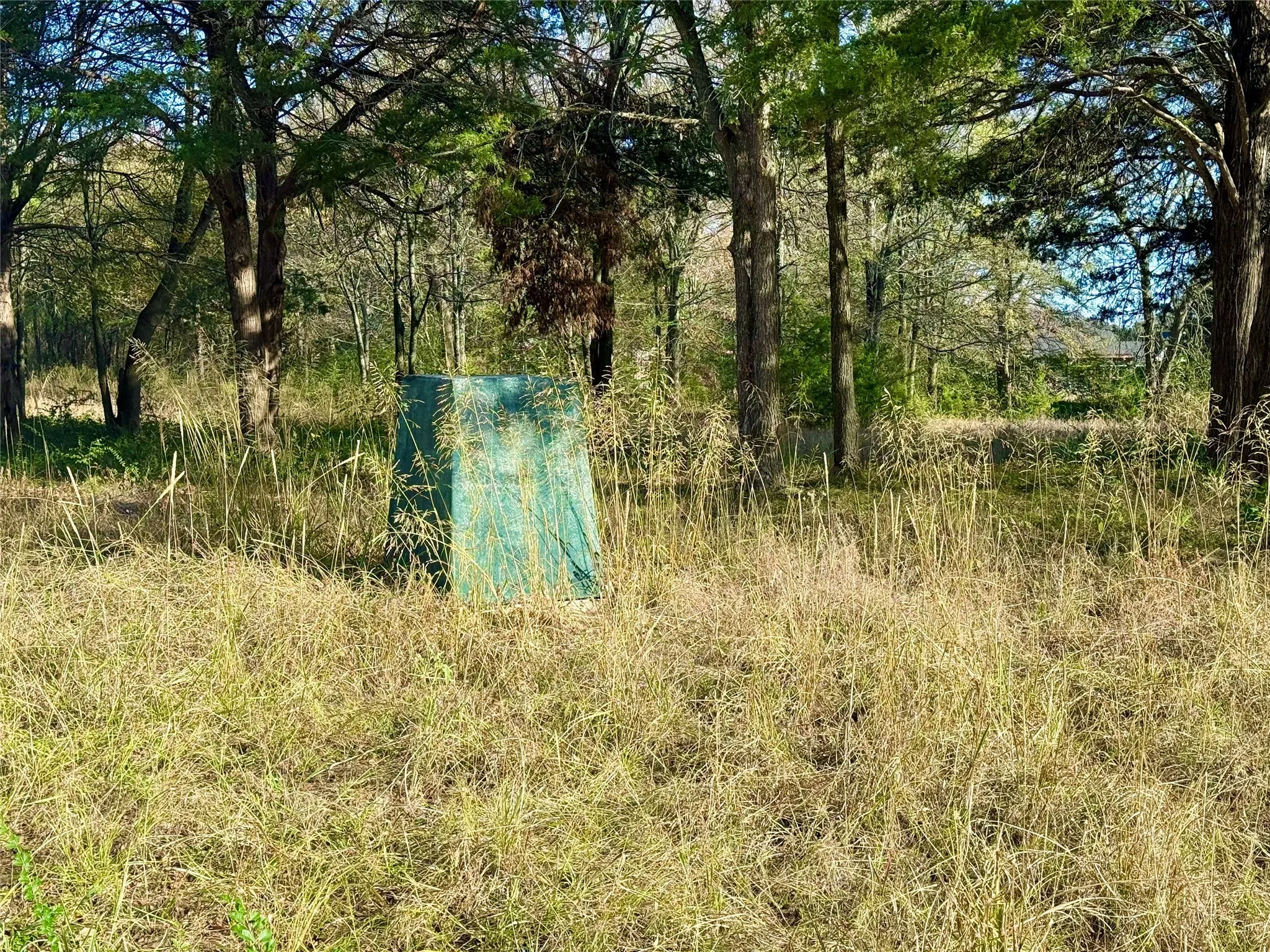 Improved Land For Sale in Fannin County , 264 County Road 1452, Bonham, Texas 75418, 0, 0, Garage spaces, 0 Sqft, built in 2009, Price $235,000, mls#20903471, Real Estate Agent in Bonham, Homes For Sale in Fannin county, Homes For Sale in Bonham, Realtor in Bonham Texas, Real Estate Brokerage Independent Realty Texas, Luminita Cordes Realtor