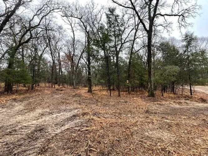 Unimproved Land For Sale in Rains County , 1291 RS CR 1150, Emory, Texas 75440, 0, 0, Garage spaces, 0 Sqft, built in 0, Price $579,000, mls#20903607, Real Estate Agent in Emory, Homes For Sale in Rains county, Homes For Sale in Emory, Realtor in Emory Texas, Real Estate Brokerage Independent Realty Texas, Luminita Cordes Realtor