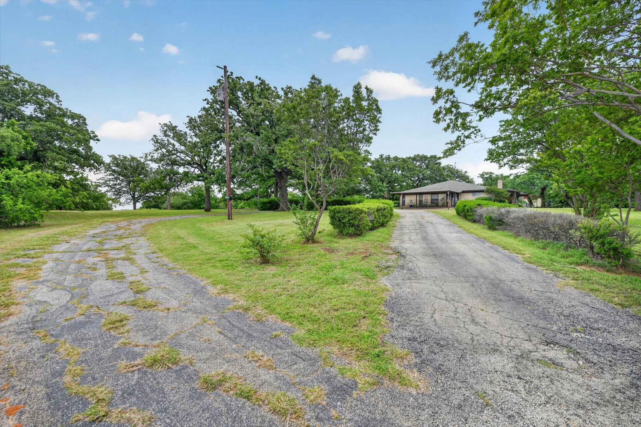 Property entrance featuring two paved driveways and mature trees
