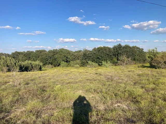 View of local wilderness with a wooded view