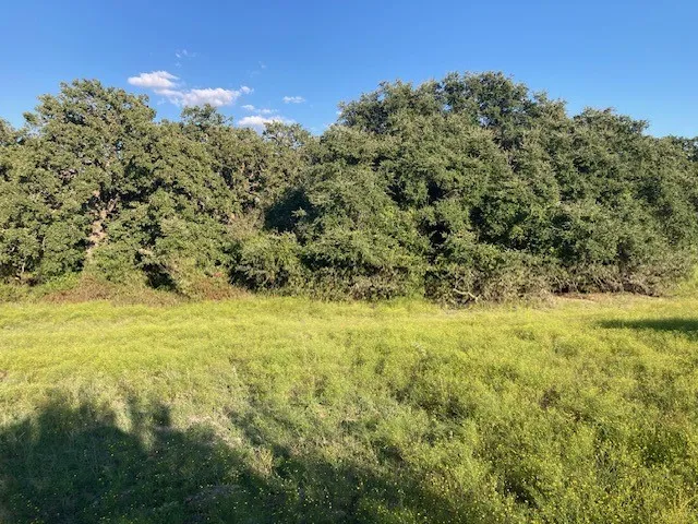View of local wilderness featuring a wooded view