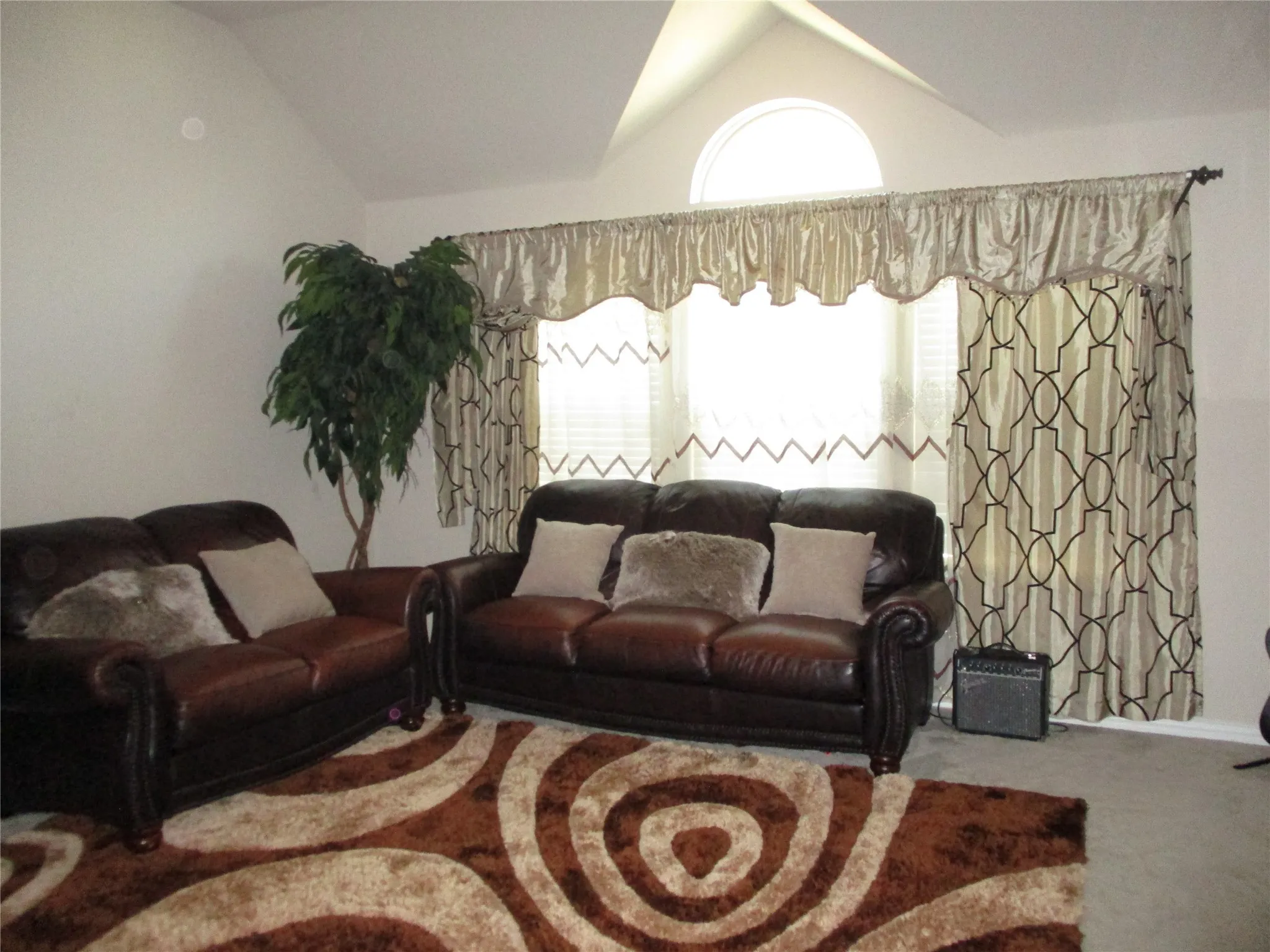 Carpeted living area with vaulted ceiling