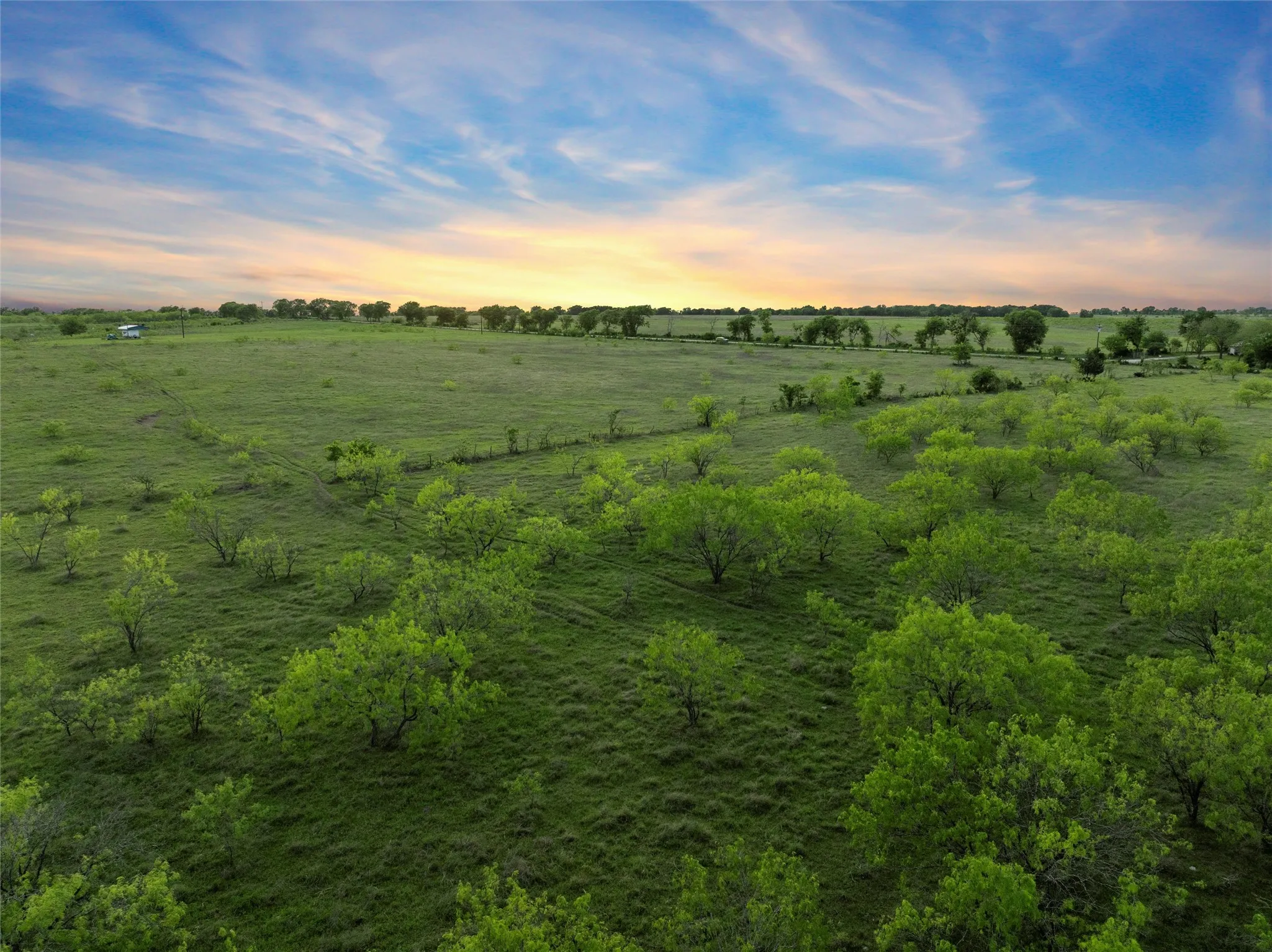 View of local wilderness with a rural view