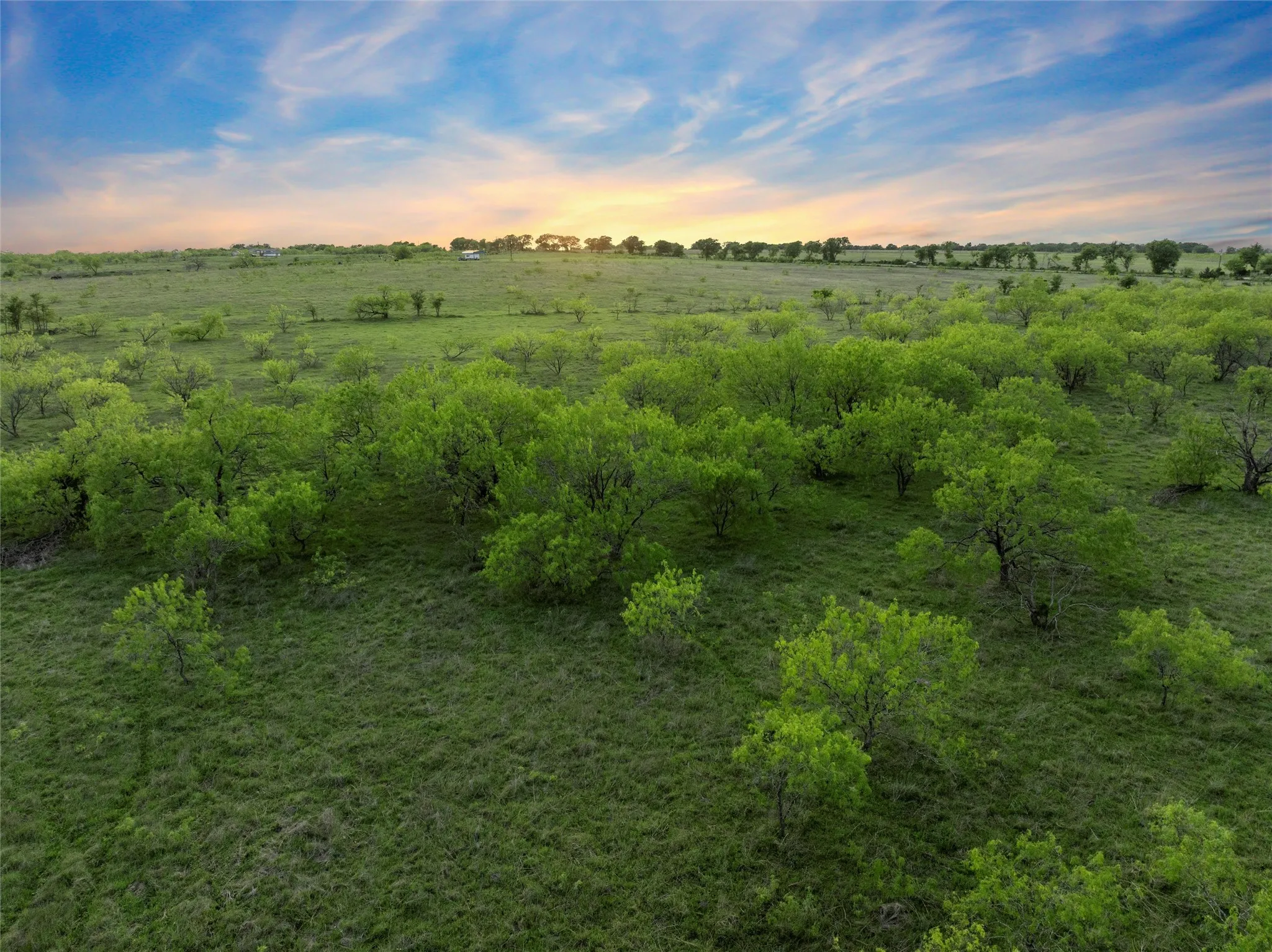 View of local wilderness featuring a rural view