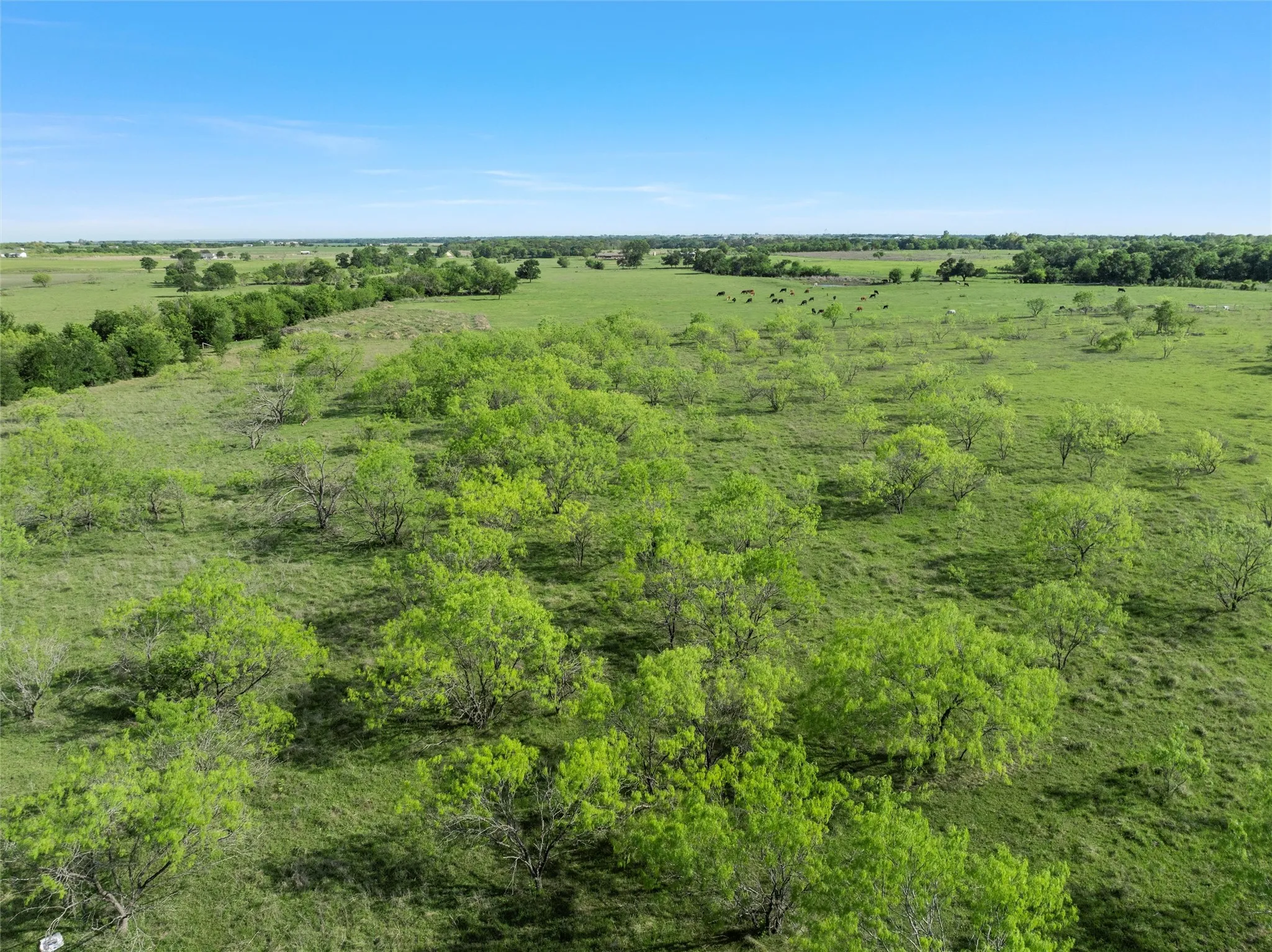 View of nature featuring a rural view