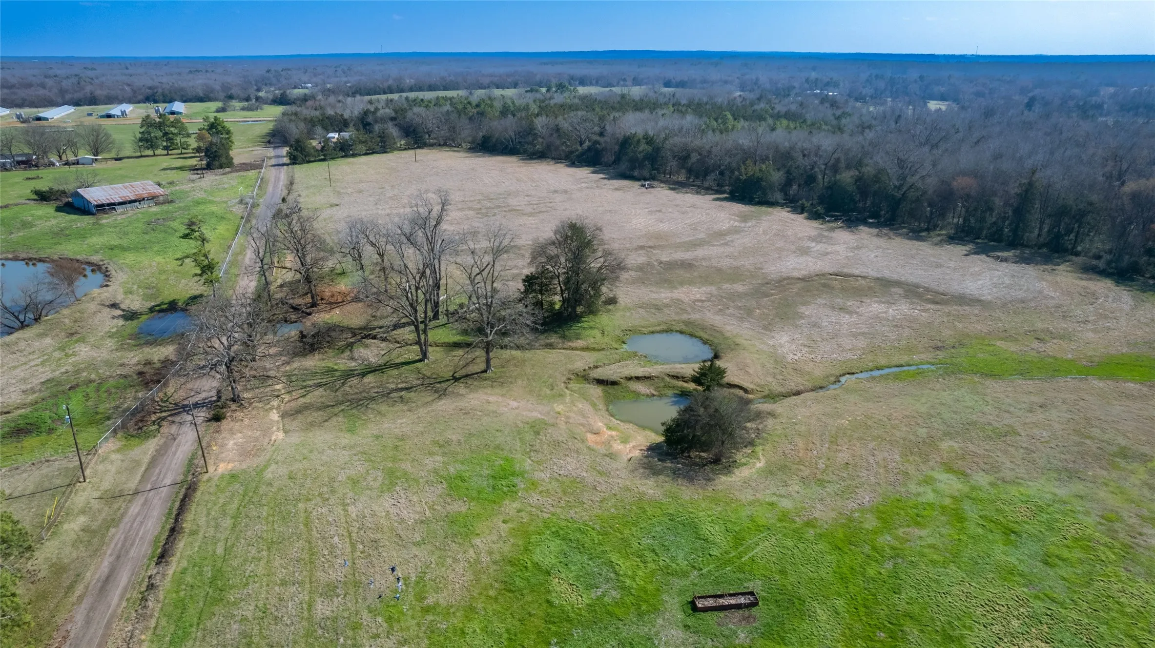 Improved Land For Sale in Hopkins County , 591 County Road 2376, Winnsboro, Texas 75494, 0, 0, Garage spaces, 0 Sqft, built in 1960, mls#20907500, Real Estate Agent in Winnsboro, Homes For Sale in Hopkins county, Homes For Sale in Winnsboro, Realtor in Winnsboro Texas, Real Estate Brokerage Independent Realty Texas, Luminita Cordes Realtor