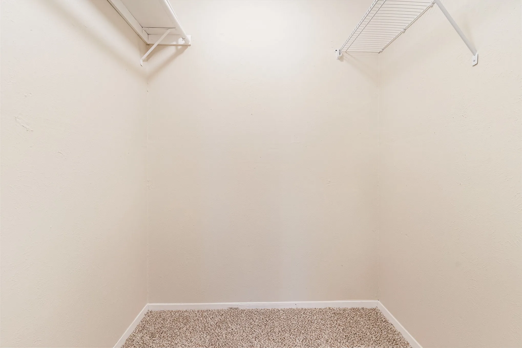 Walk in closet with light carpet
