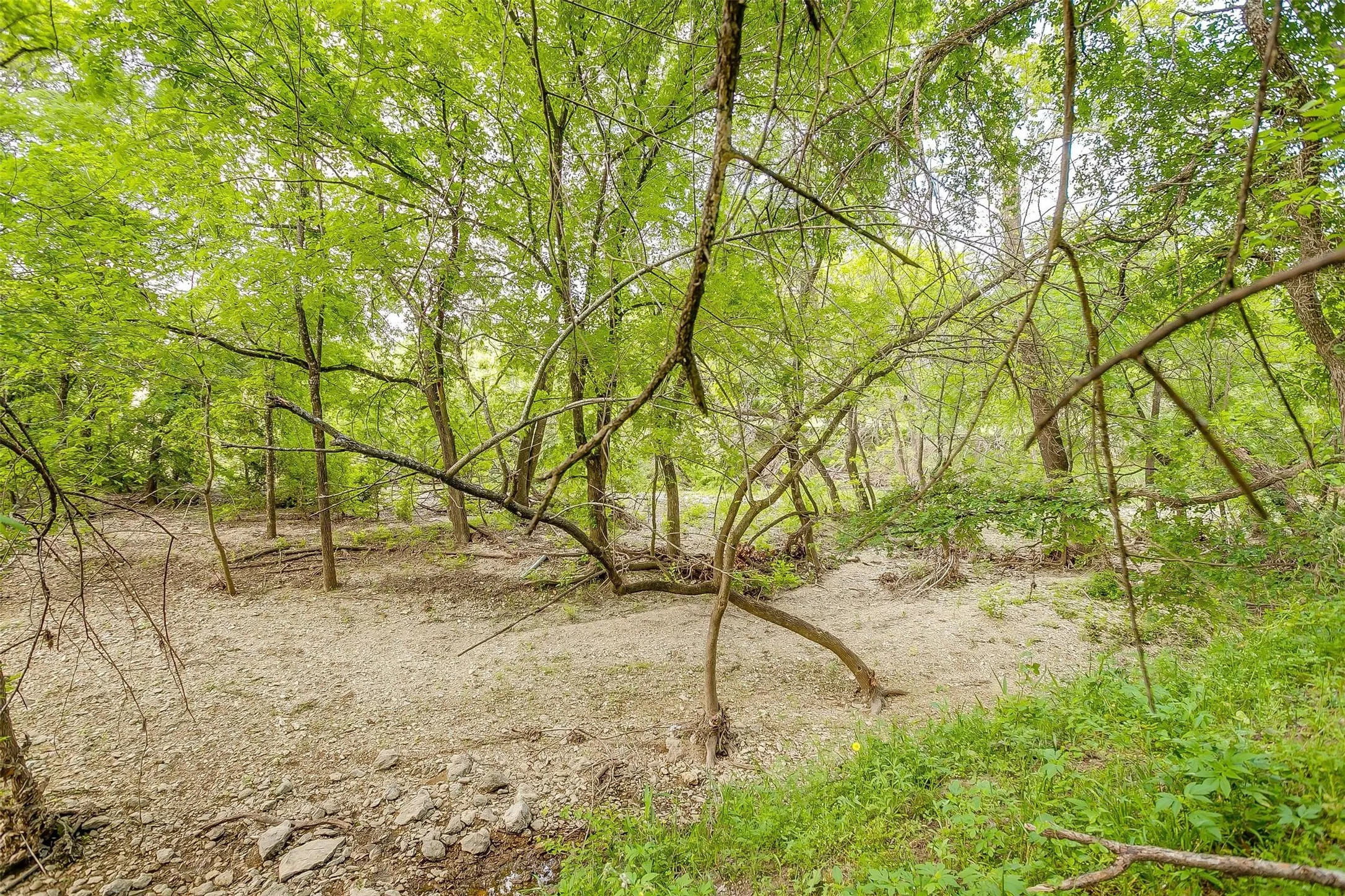 Business For Sale in Hill County , TBD TX-174, Blum, Texas 76627, 0, 0, Garage spaces, 180 Sqft, built in 0, Preowned, Price $179,000, mls#20908430, Real Estate Agent in Blum, Homes For Sale in Hill county, Homes For Sale in Blum, Realtor in Blum Texas, Real Estate Brokerage Independent Realty Texas, Luminita Cordes Realtor
