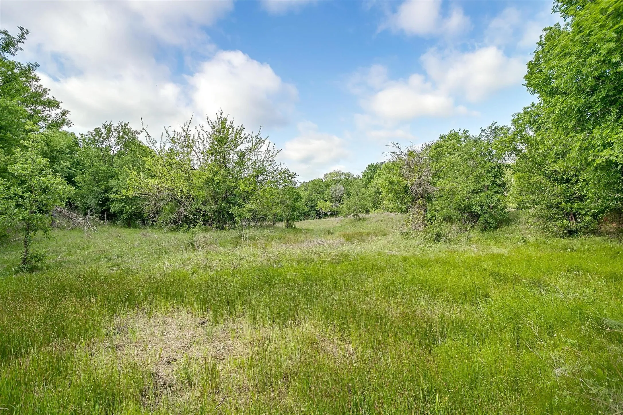 Business For Sale in Hill County , TBD TX-174, Blum, Texas 76627, 0, 0, Garage spaces, 180 Sqft, built in 0, Preowned, Price $179,000, mls#20908430, Real Estate Agent in Blum, Homes For Sale in Hill county, Homes For Sale in Blum, Realtor in Blum Texas, Real Estate Brokerage Independent Realty Texas, Luminita Cordes Realtor